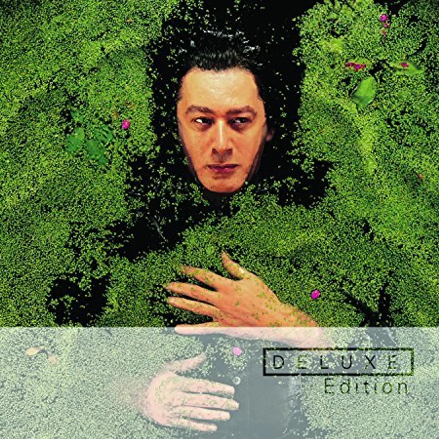 Alain Bashung FANTAISIE MILITAIRE CD