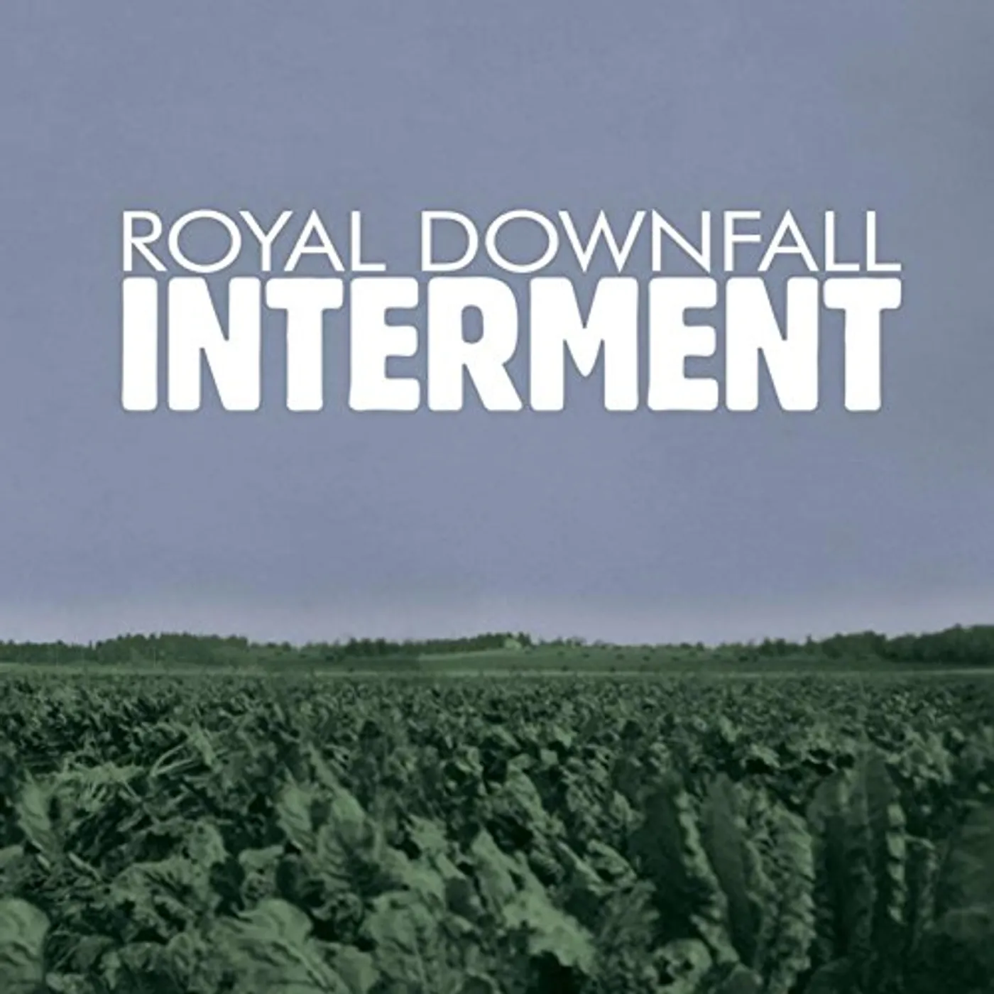 Royal Downfall Interment Vinyl Record