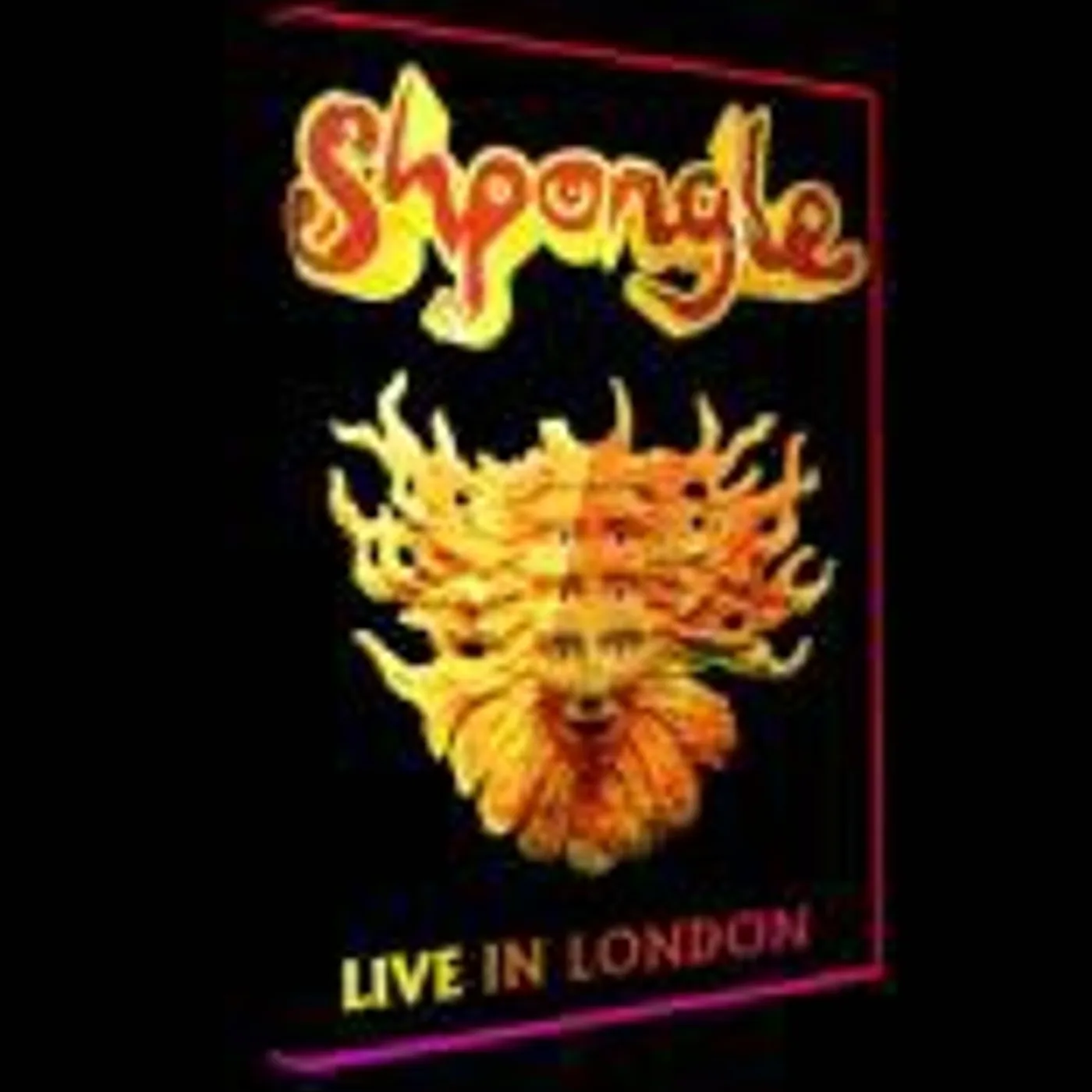 Shpongle LIVE IN LONDON DVD