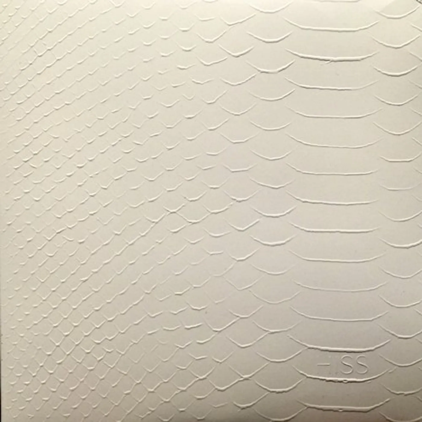 The Heavenly States HISS Vinyl Record