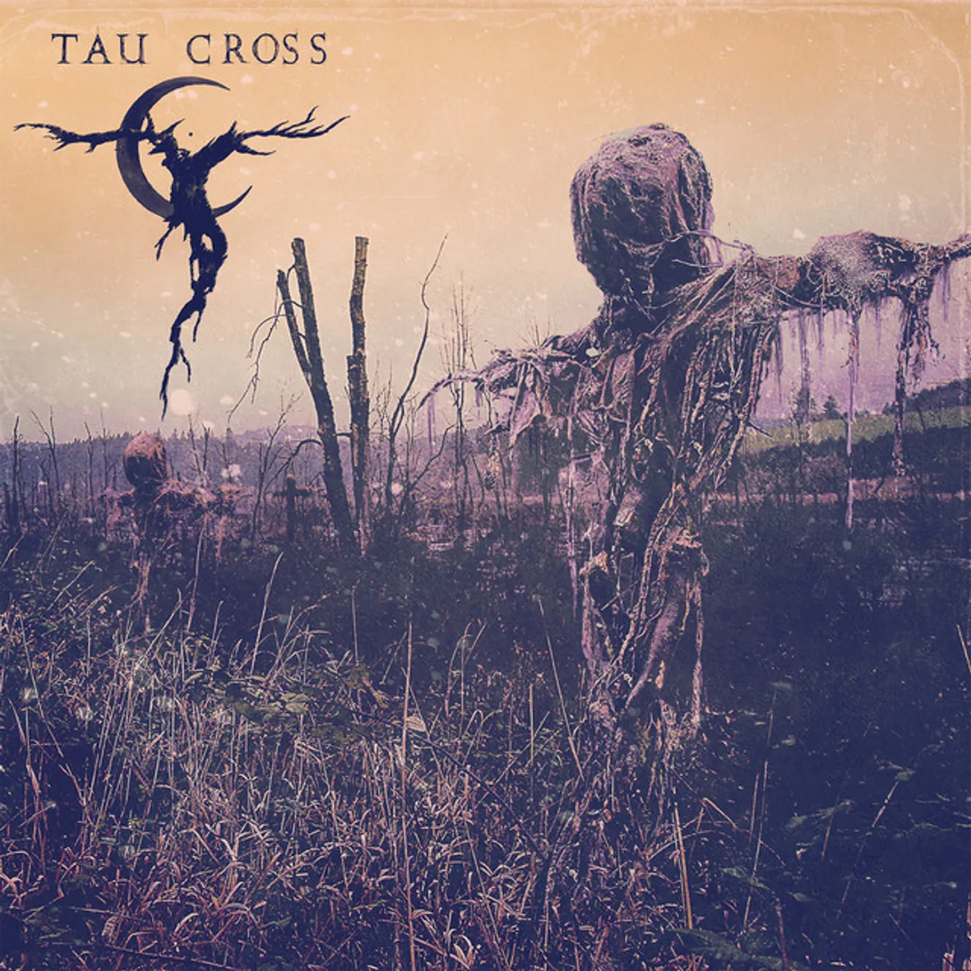 Tau Cross Vinyl Record