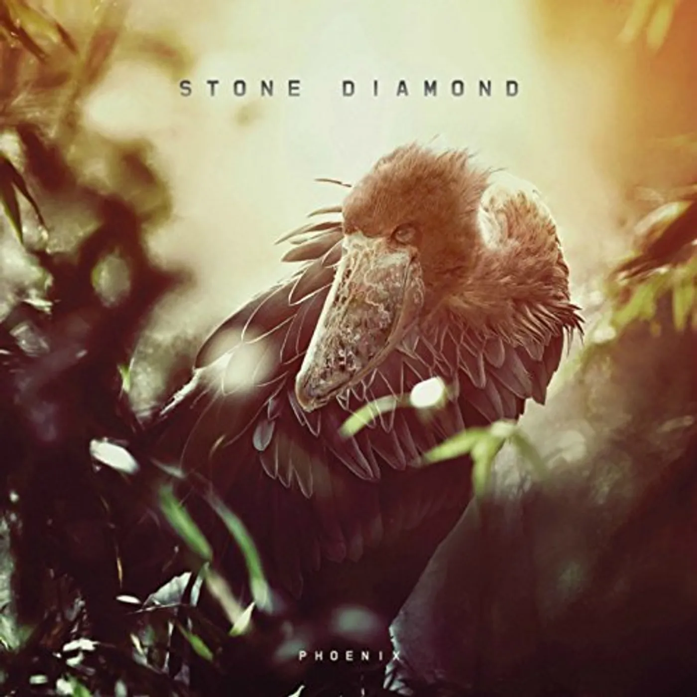 Stone Diamond PHOENIX CD