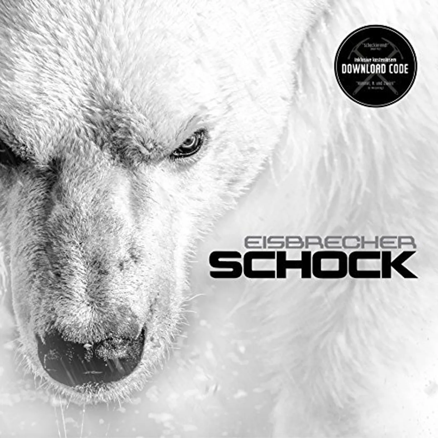 Eisbrecher Schock Vinyl Record