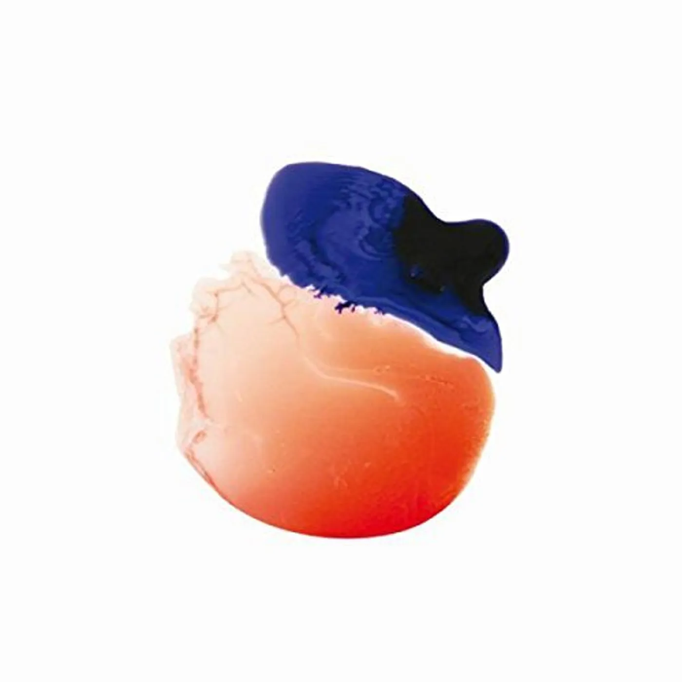 Venera 4 EIDOLON Vinyl Record