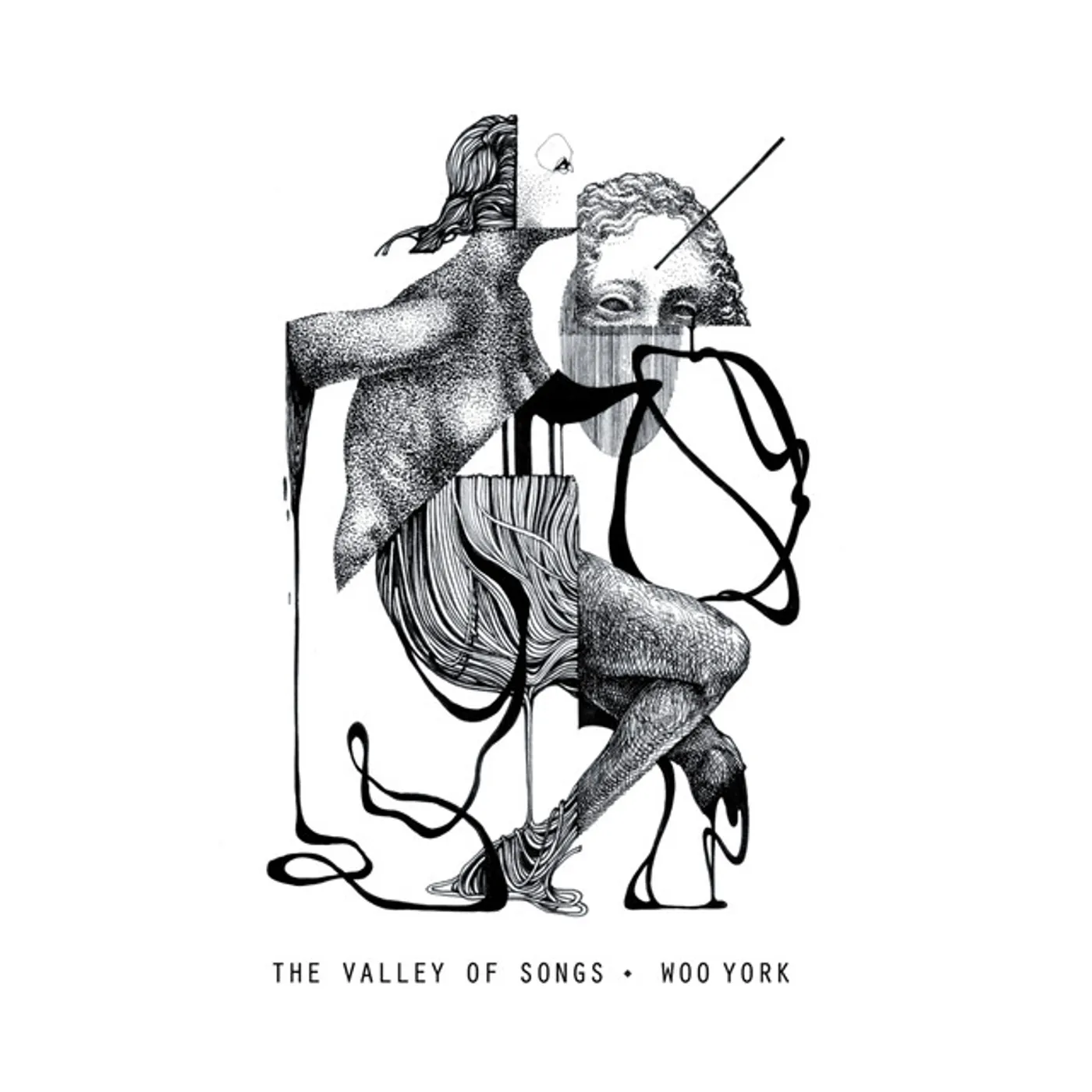 Woo York VALLEY OF SONGS Vinyl Record