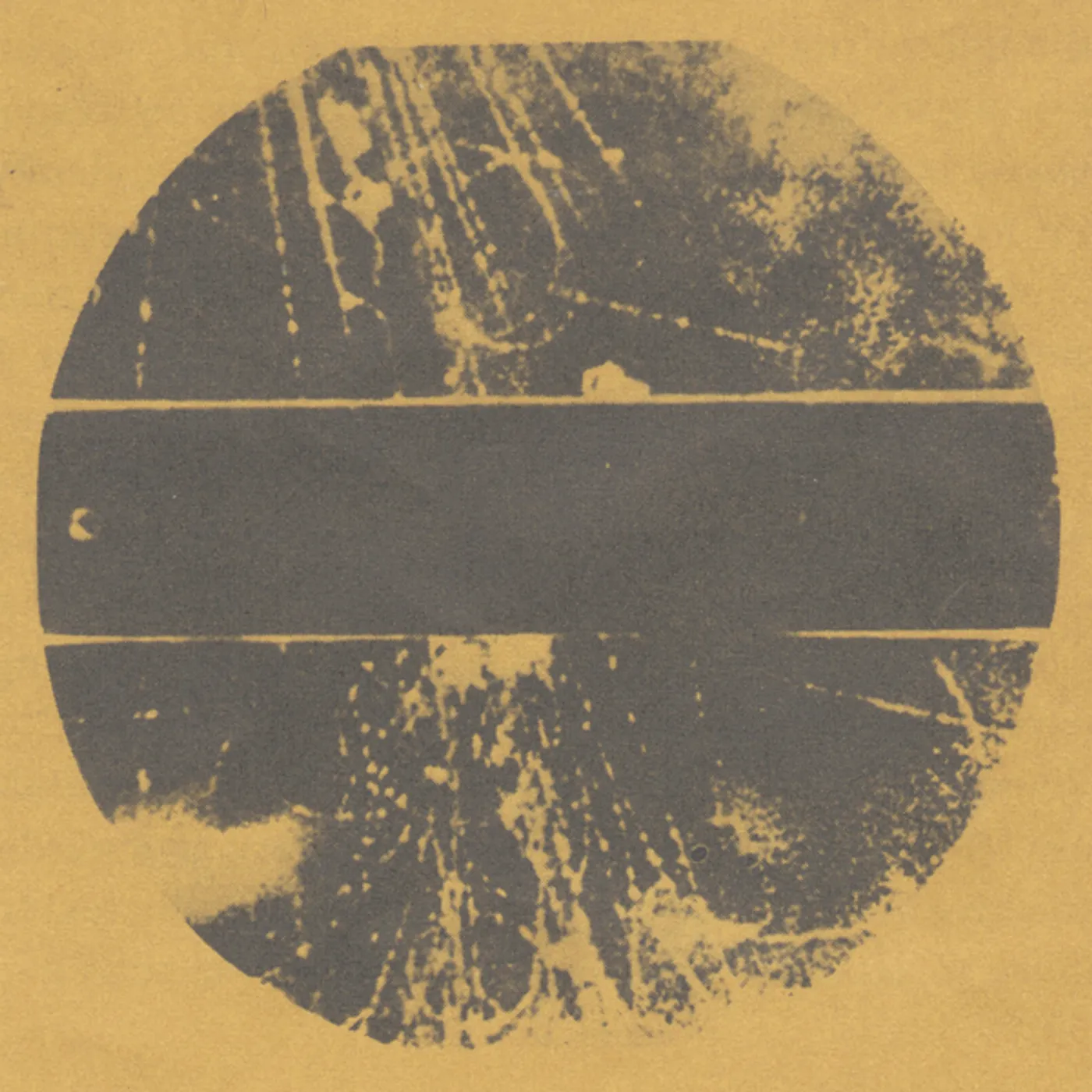 Container LP Vinyl Record