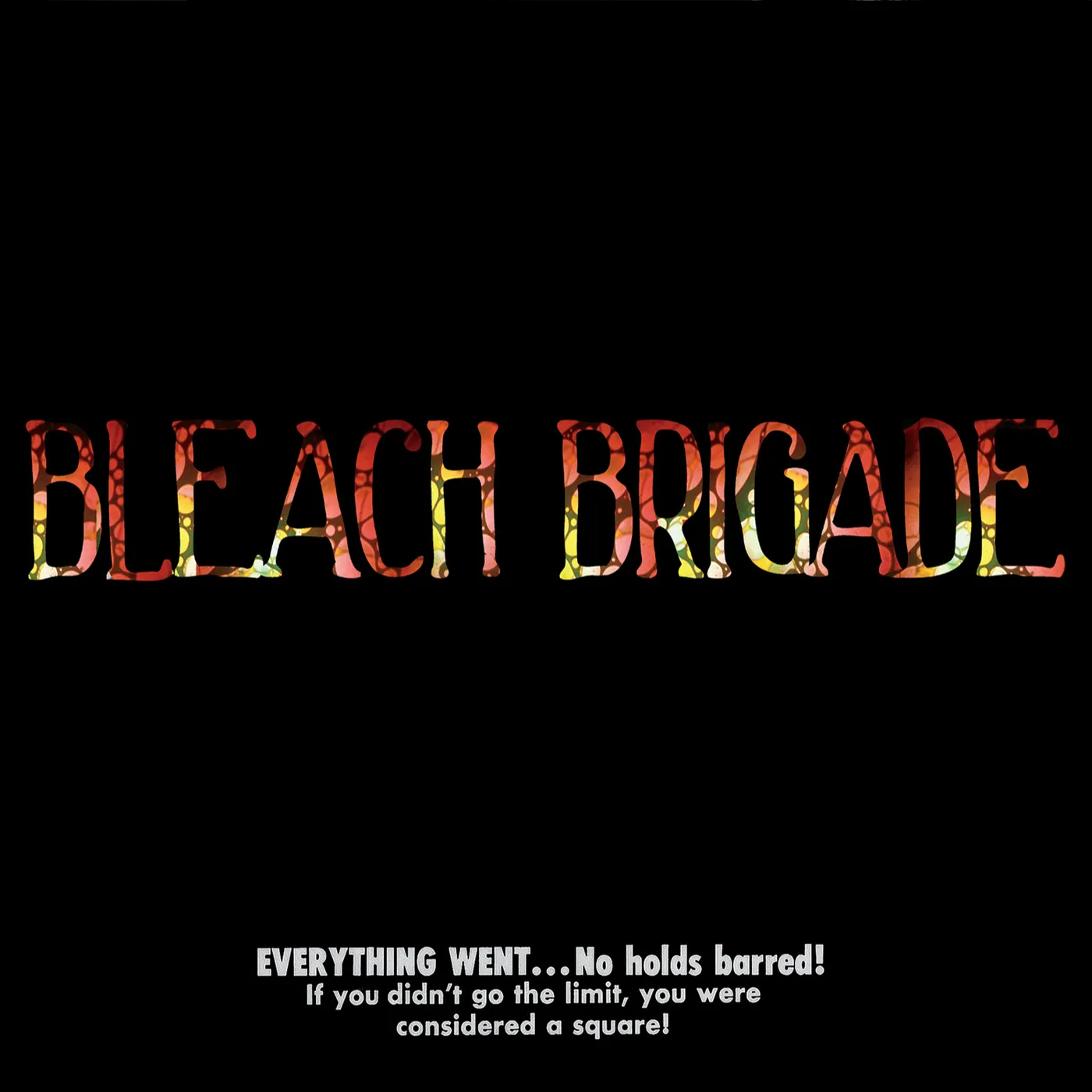 We Are Hex Bleach Brigade Vinyl Record