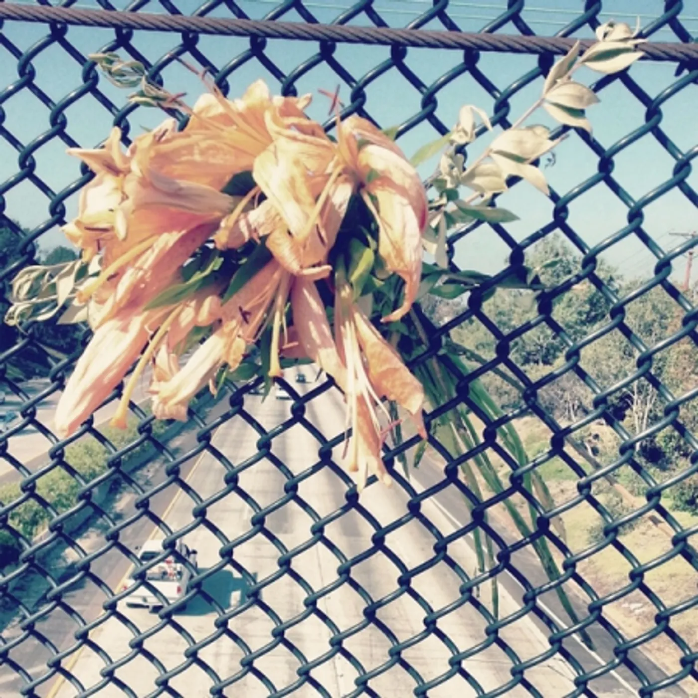 Spirit Club Vinyl Record