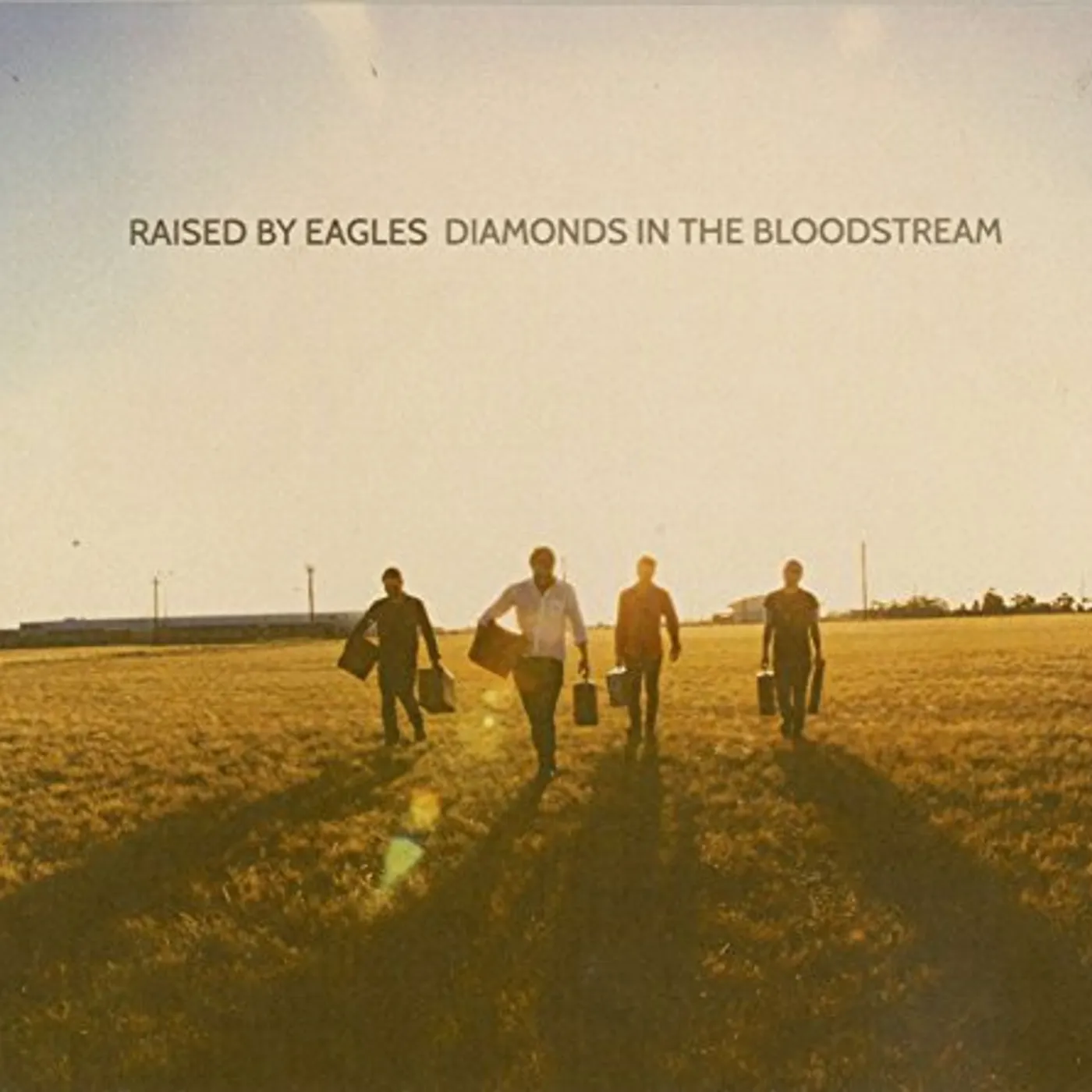 Raised By Eagles Diamonds In The Bloodstream CD