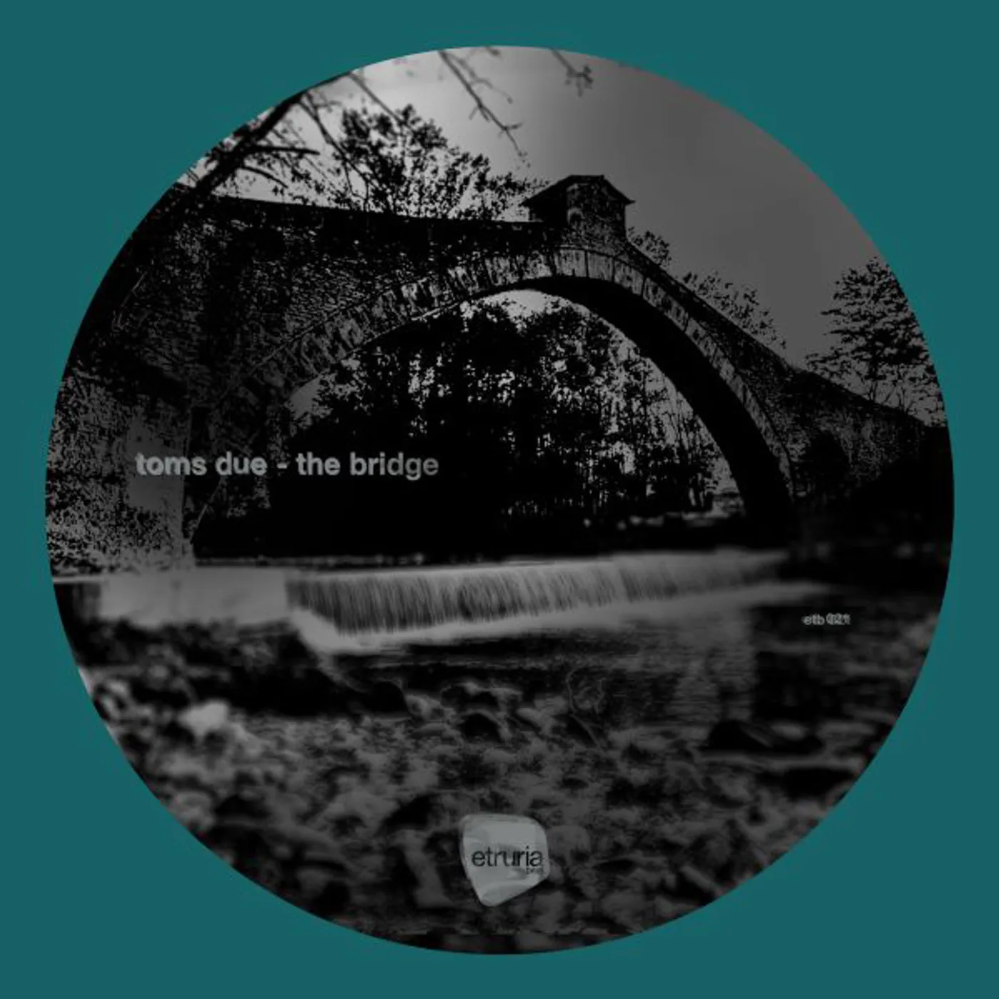 Toms:Due BRIDGE Vinyl Record