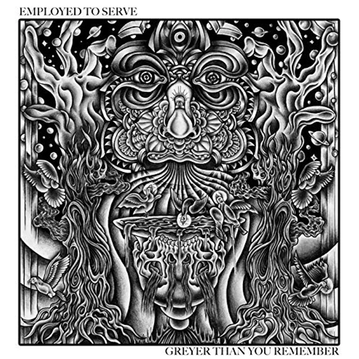 Employed To Serve Greyer Than You Remember Vinyl Record