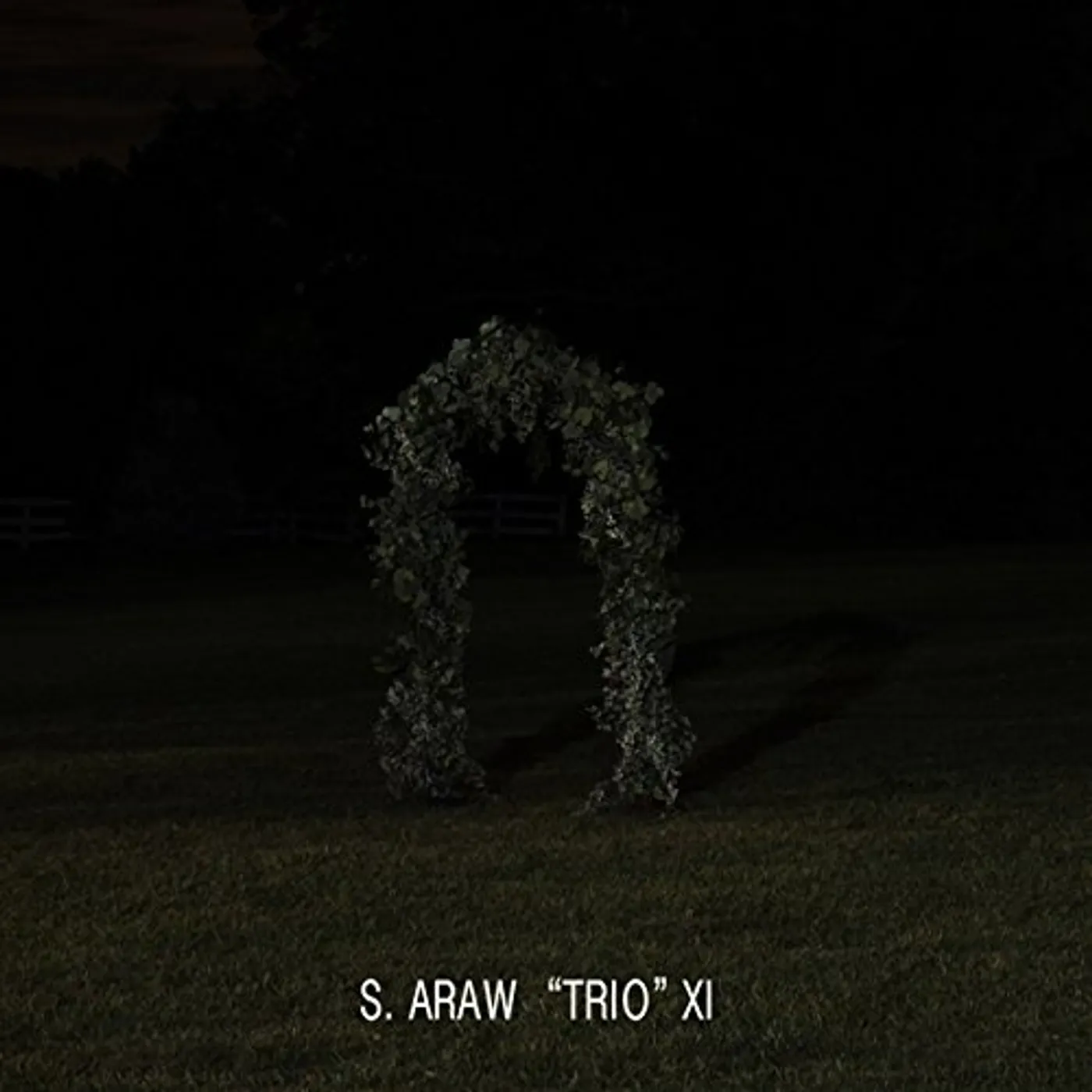 Sun Araw GAZEBO EFFECT Vinyl Record