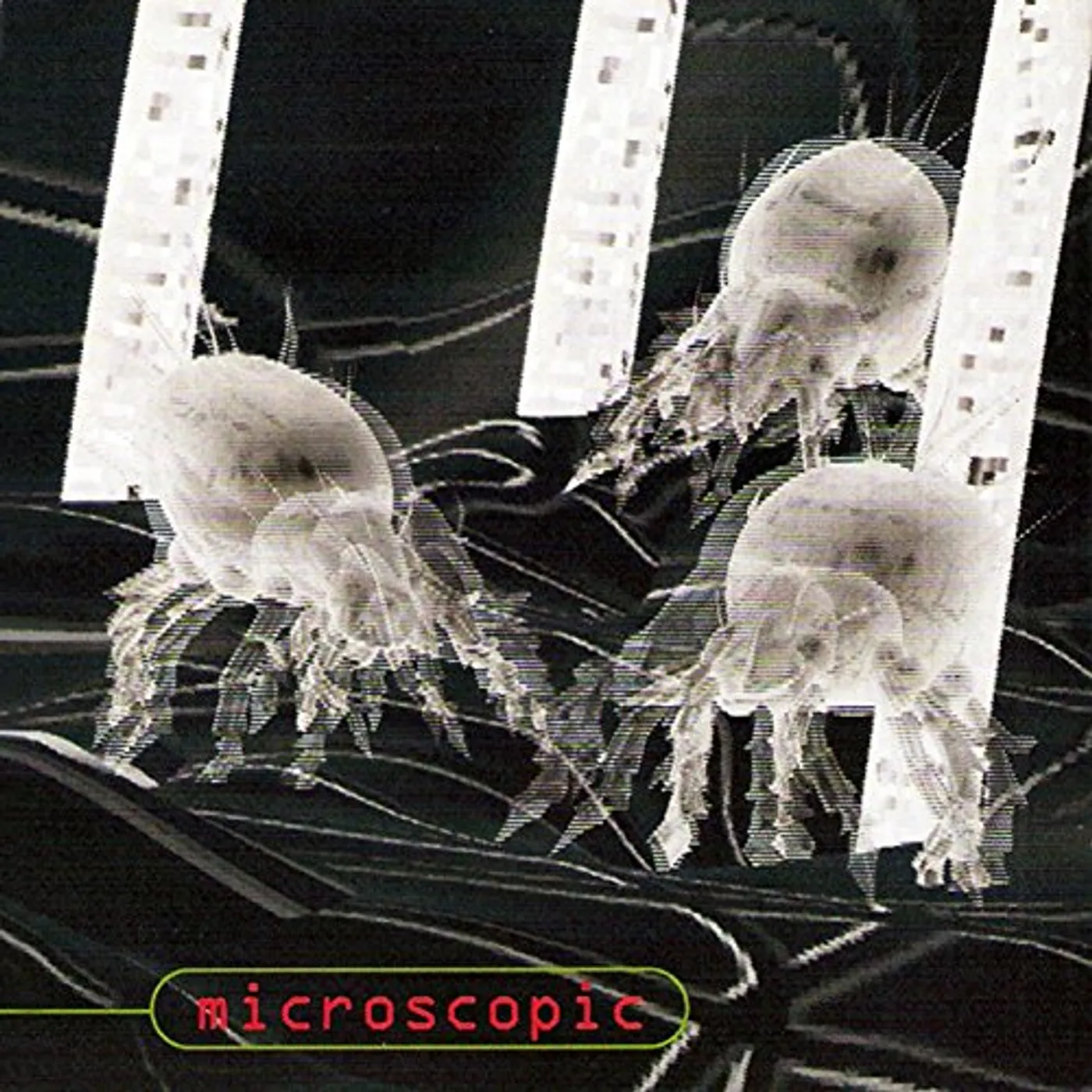 Download Microscopic Vinyl Record