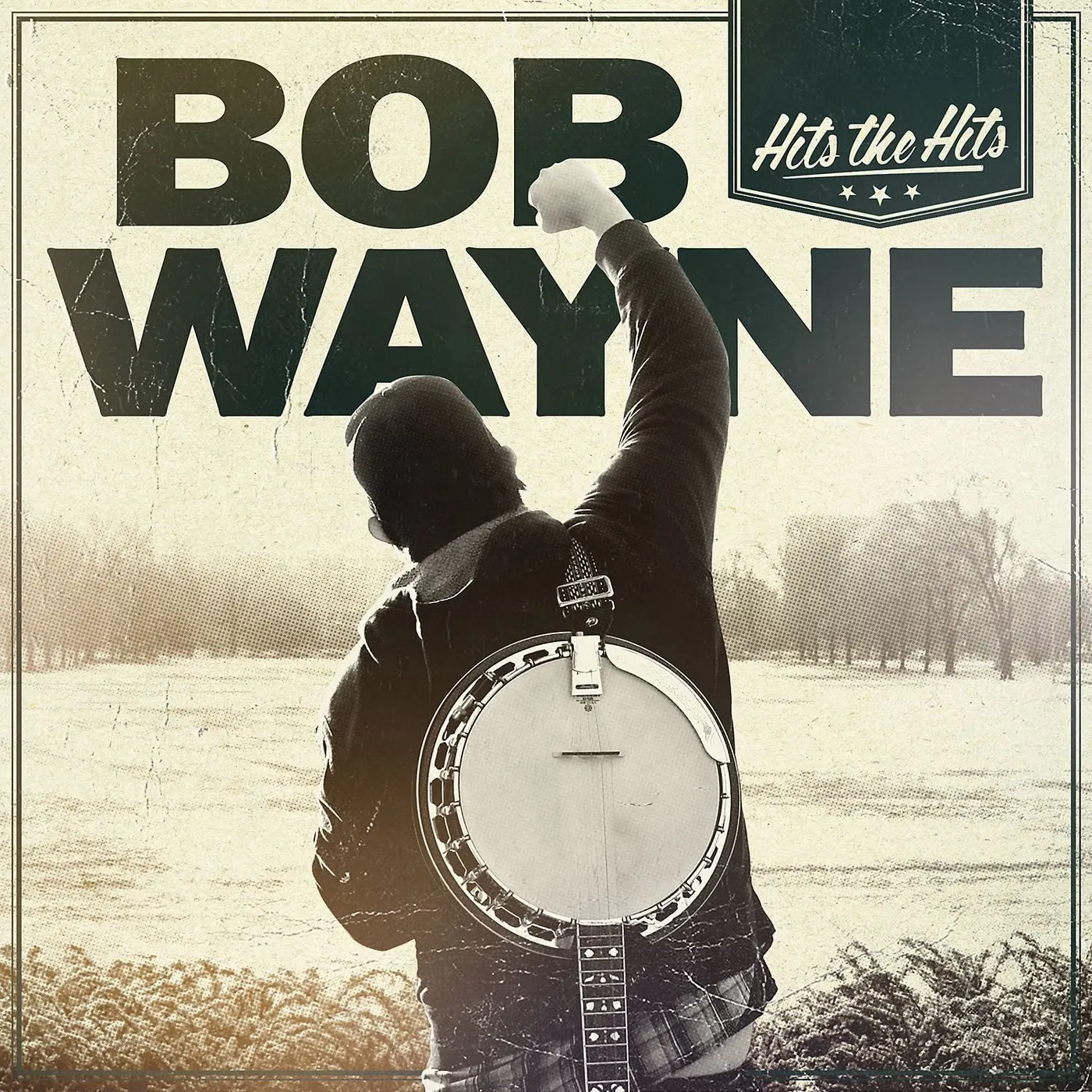 Bob Wayne HITS THE HITS CD