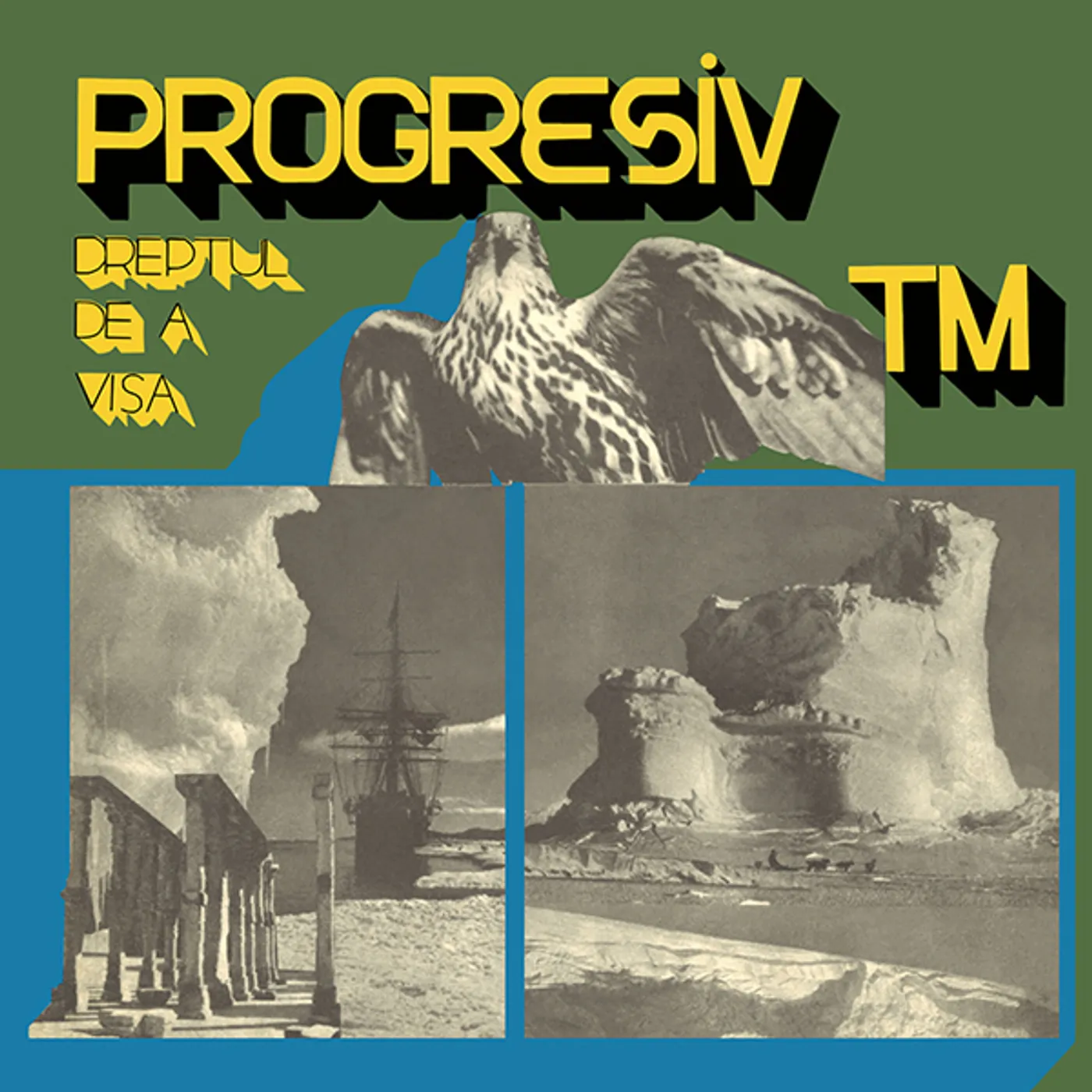 PROGRESIV TM DREPTUL DE A VISA CD