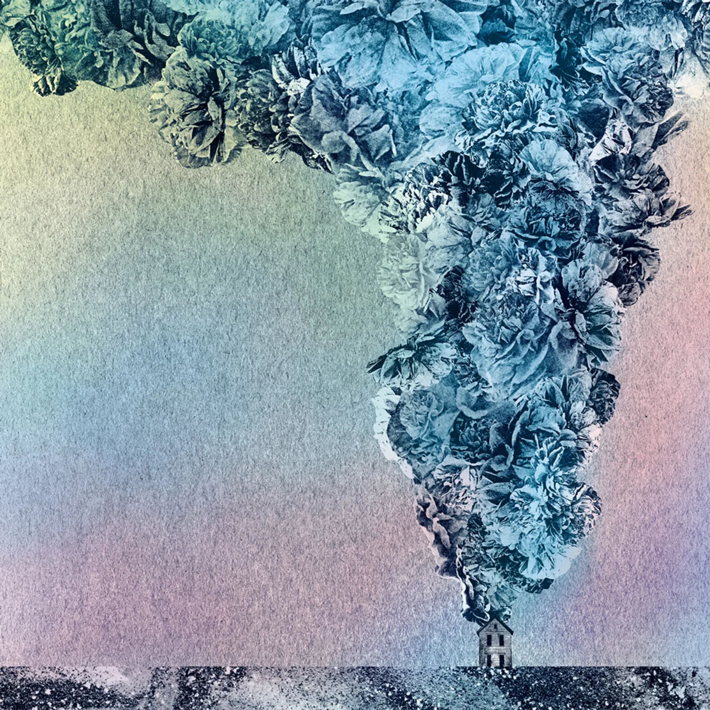 Daughn Gibson CARNATION CD