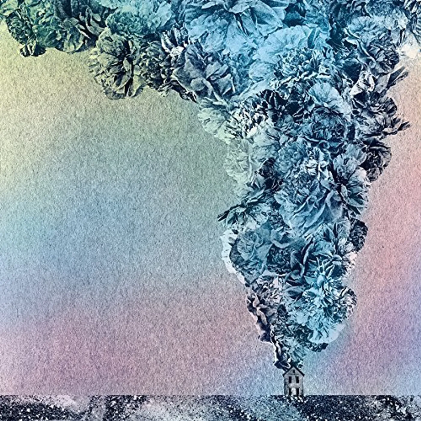 Daughn Gibson Carnation Vinyl Record