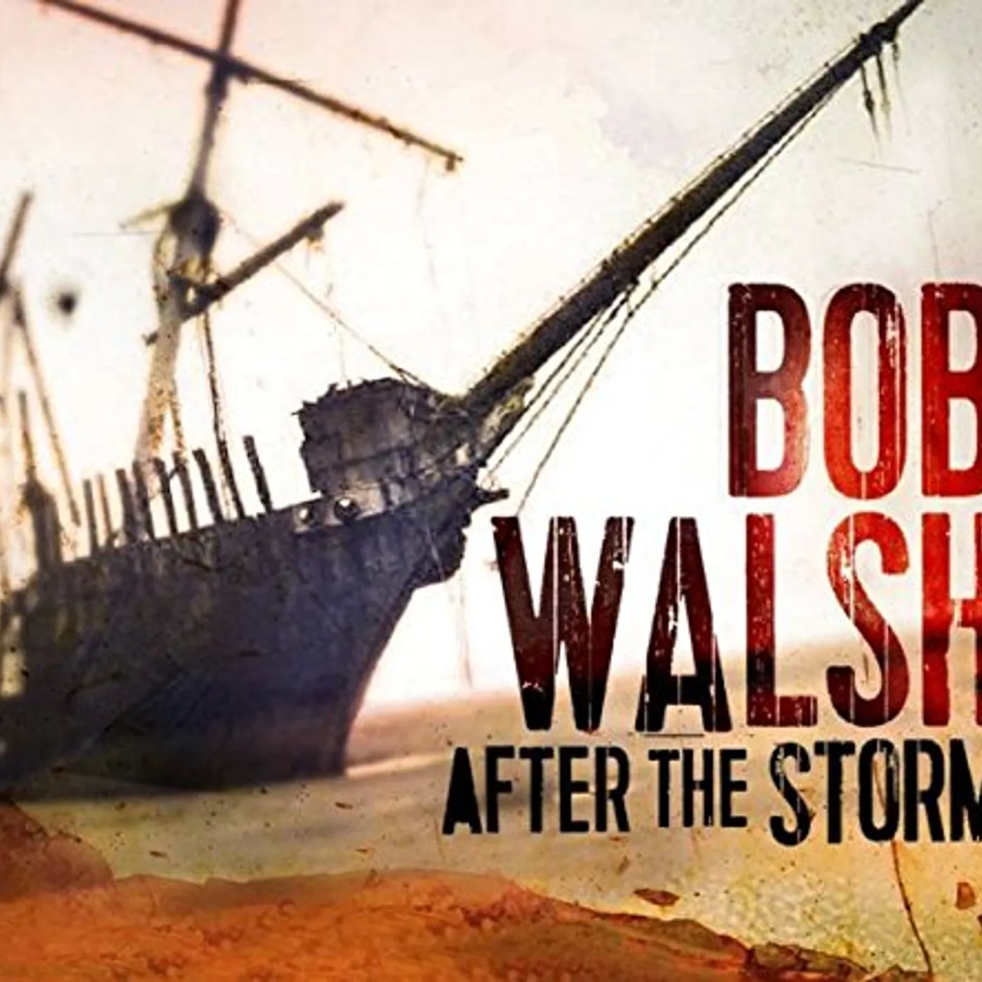 Bob Walsh AFTER THE STORM CD