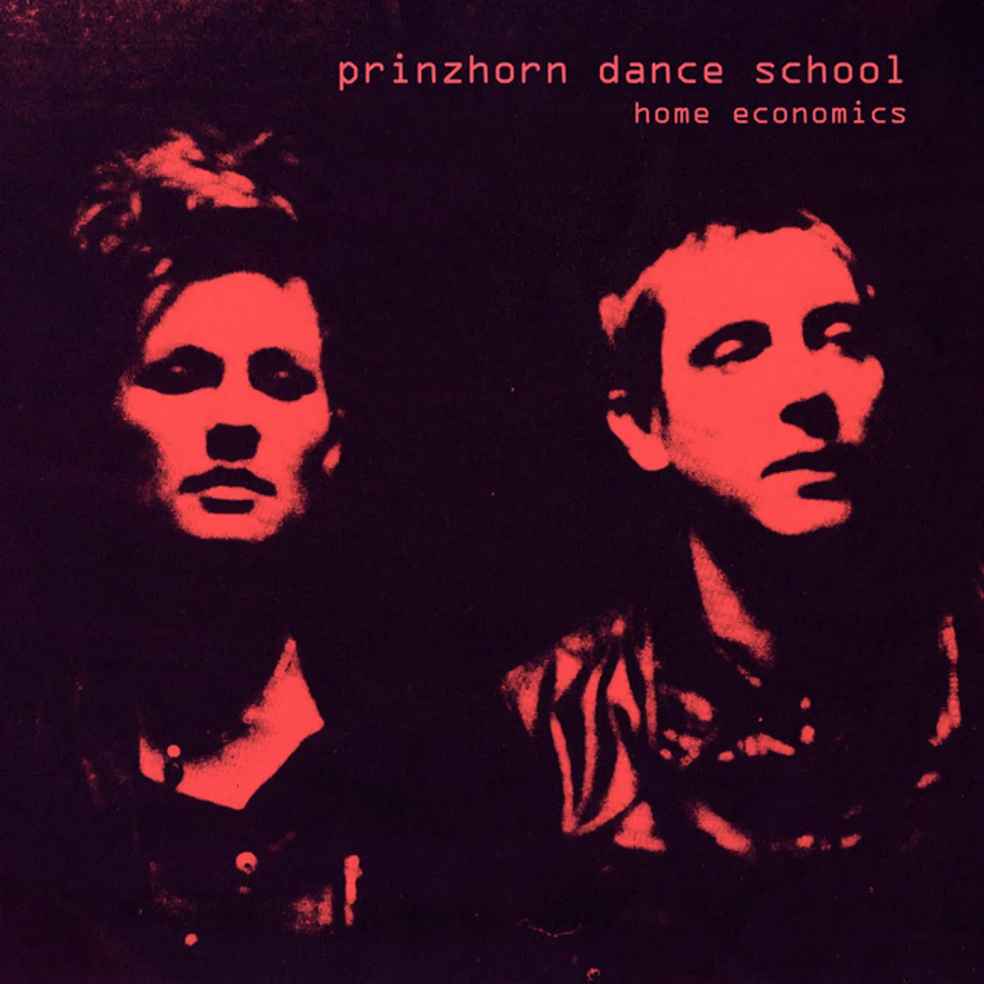 Prinzhorn Dance School Home Economics Vinyl Record