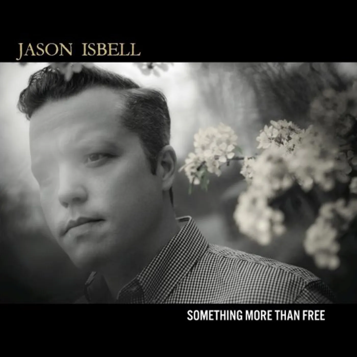 Jason Isbell SOMETHING MORE THAN FREE CD
