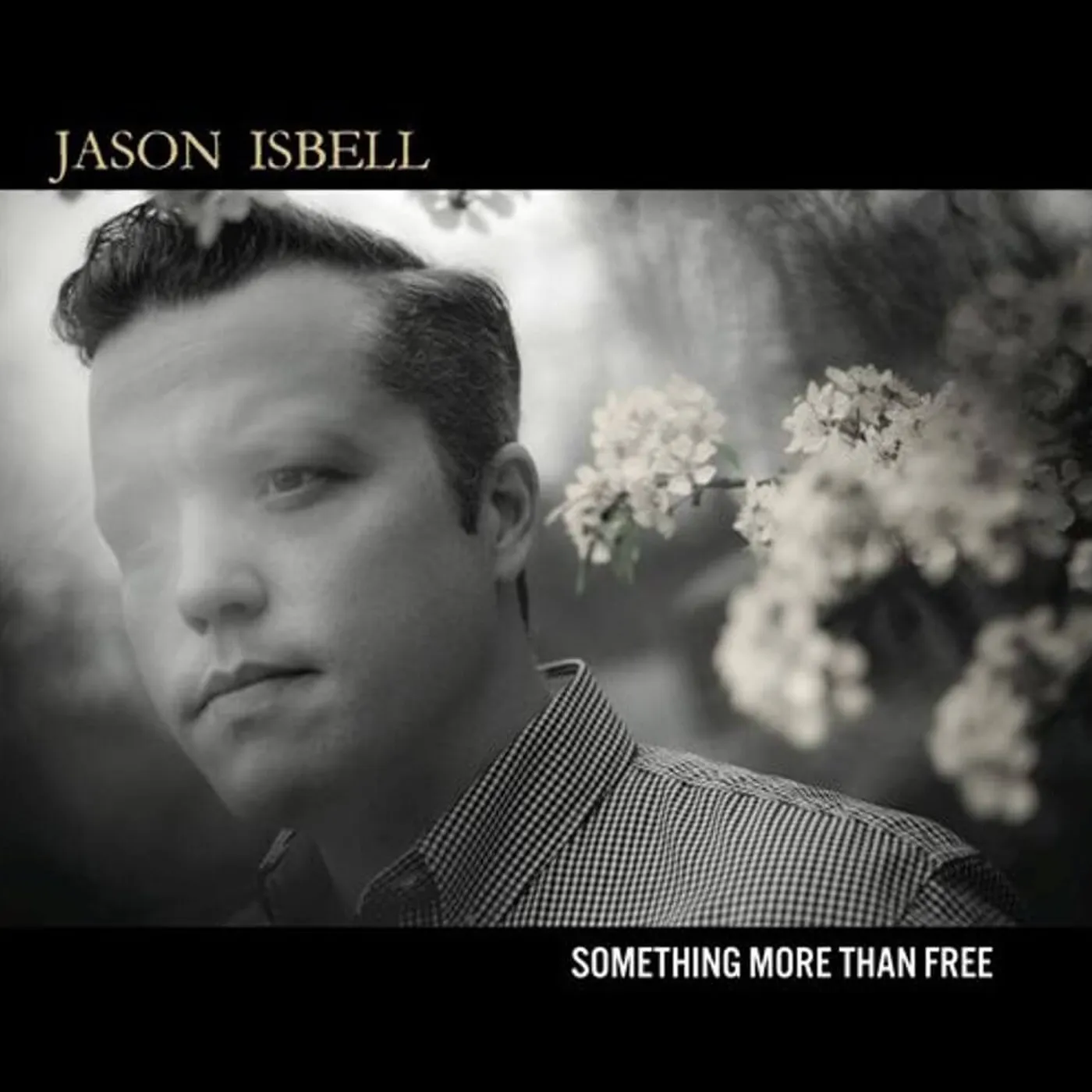 Jason Isbell Something More Than Free Vinyl Record