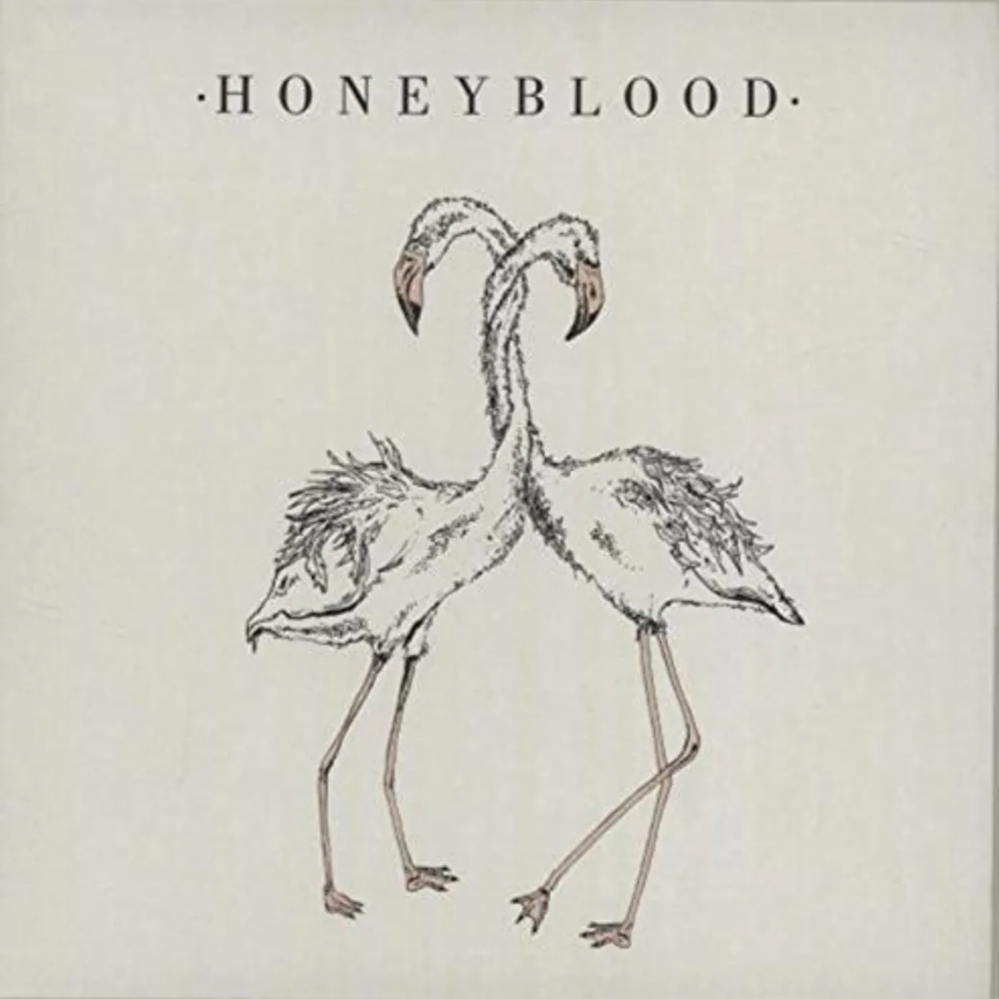 Honeyblood No Big Deal / The Black Cloud Vinyl Record