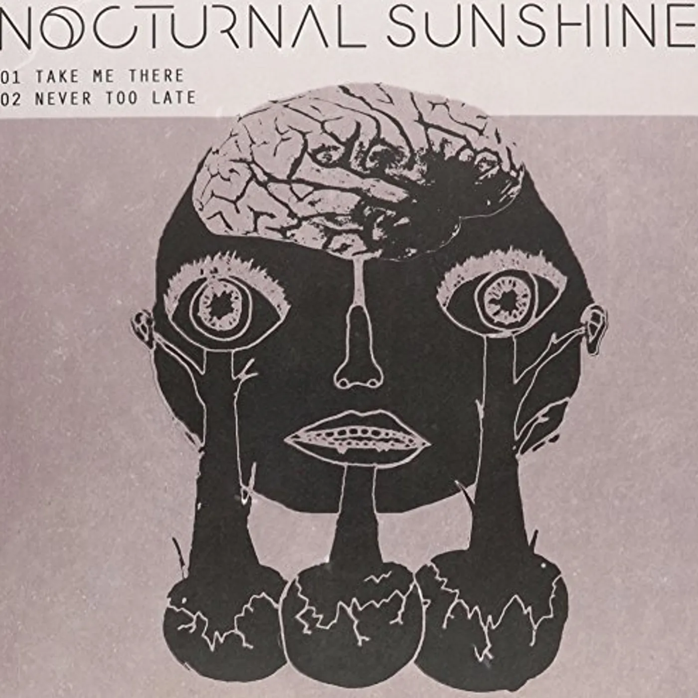 Nocturnal Sunshine Take Me There Vinyl Record