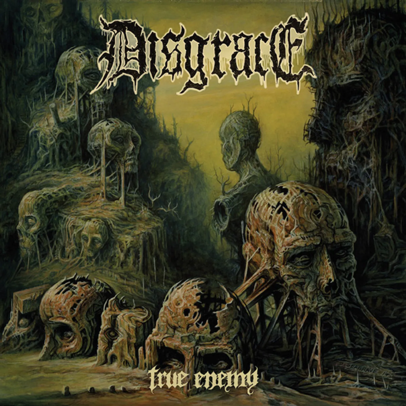 Disgrace TRUE ENEMY Vinyl Record