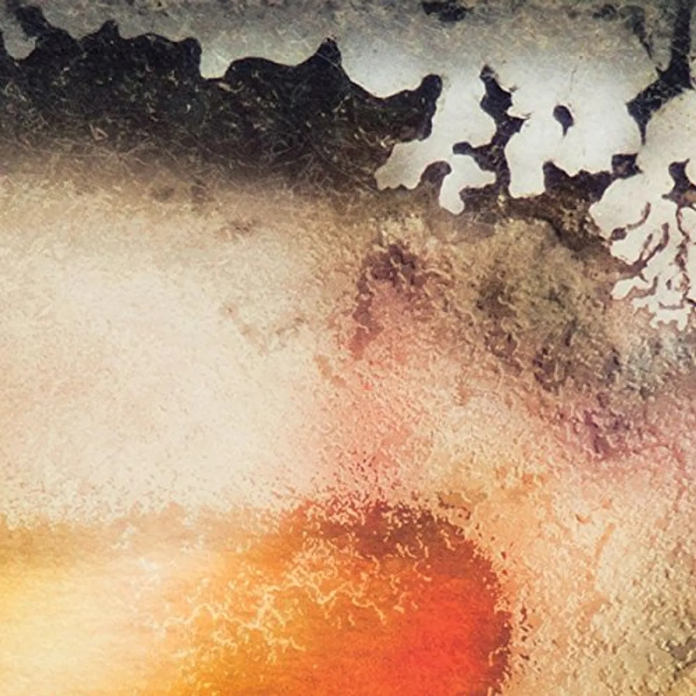 Multicast Dynamics SCAPE CD