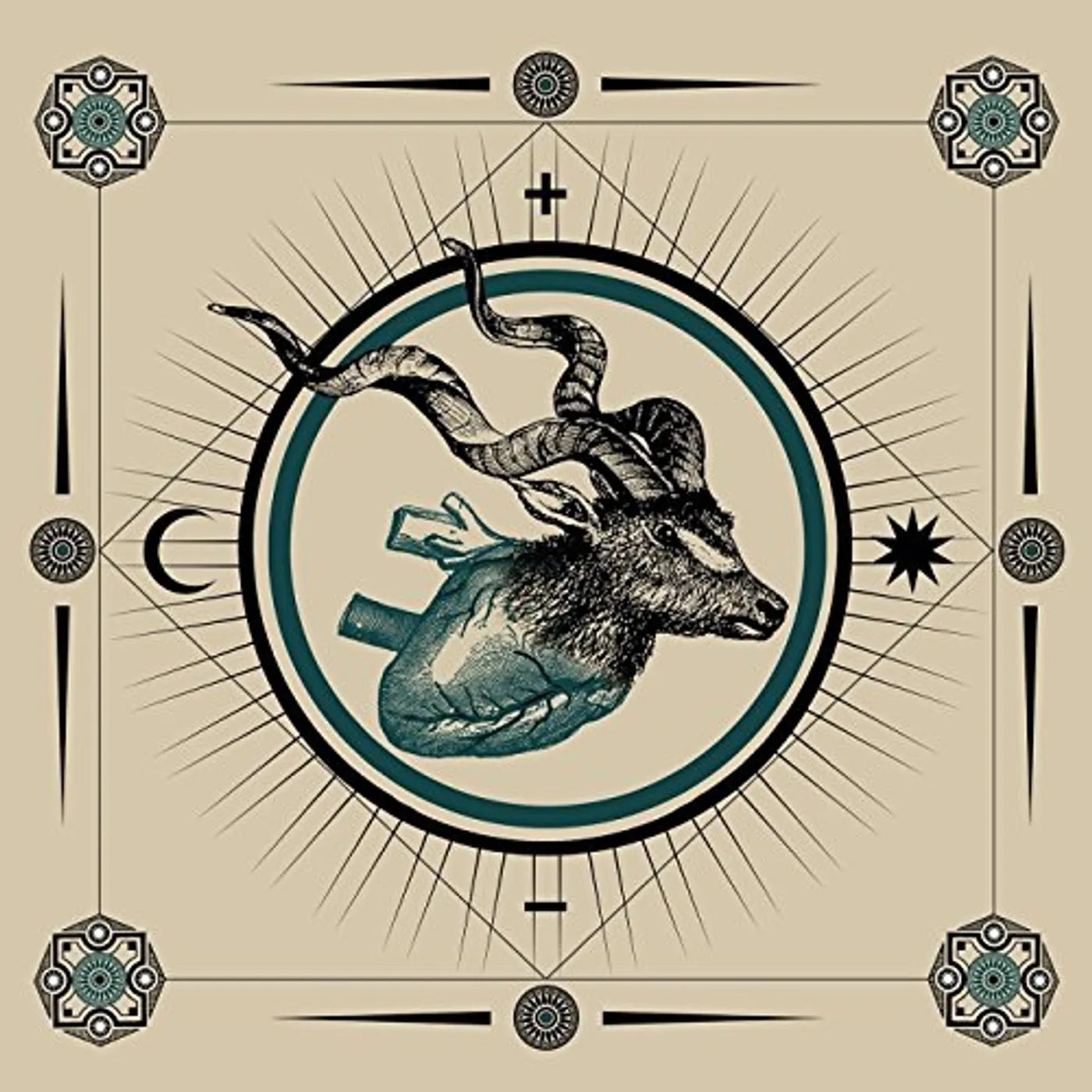 Ohhms Cold Vinyl Record