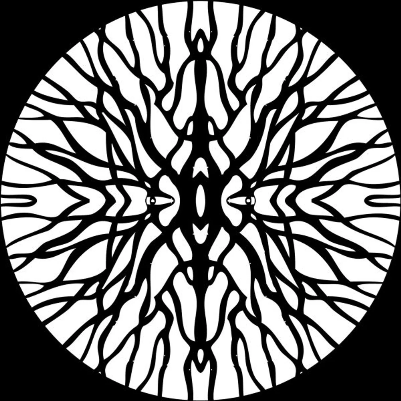 Pfirter Procyon Vinyl Record