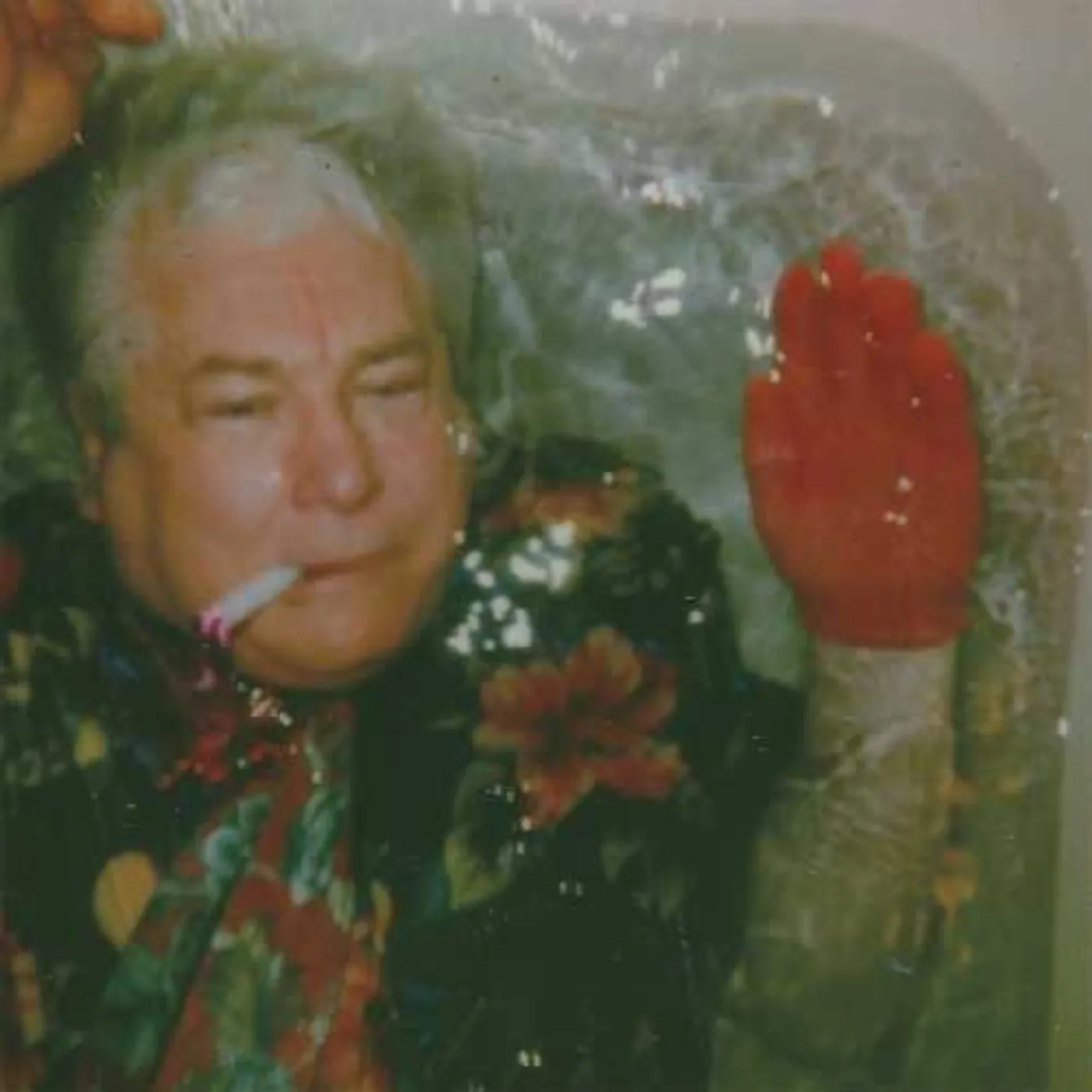 The World Is A Beautiful Place & I Am No Longer Afraid To Die Death to New Years Vinyl Record