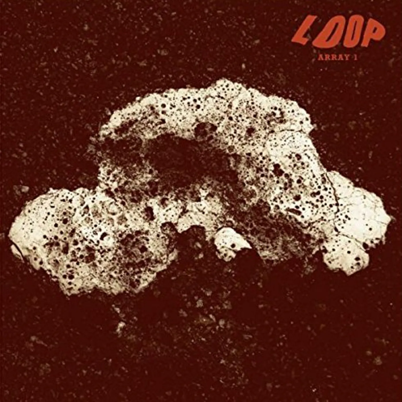Loop ARRAY 1 Vinyl Record