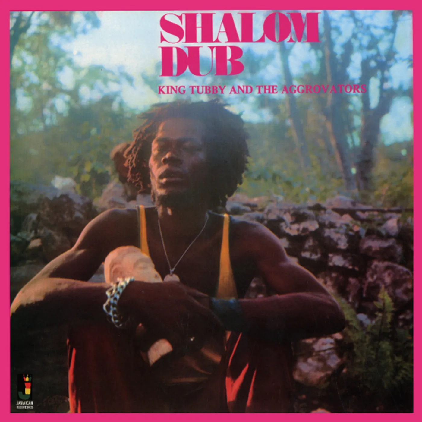 King Tubby & The Aggrovators Shalom Dub Vinyl Record