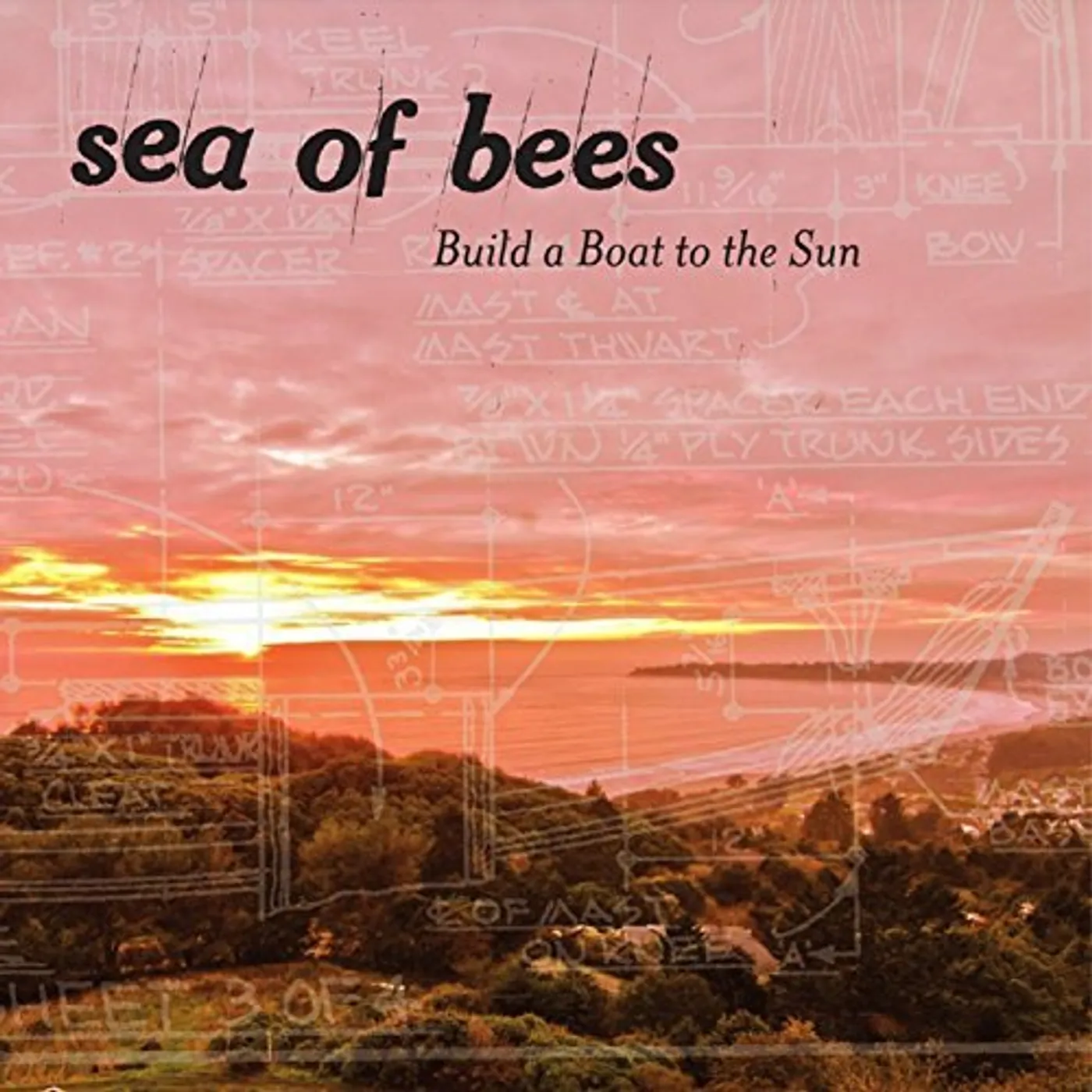 Sea Of Bees BUILD A BOAT TO THE SUN CD