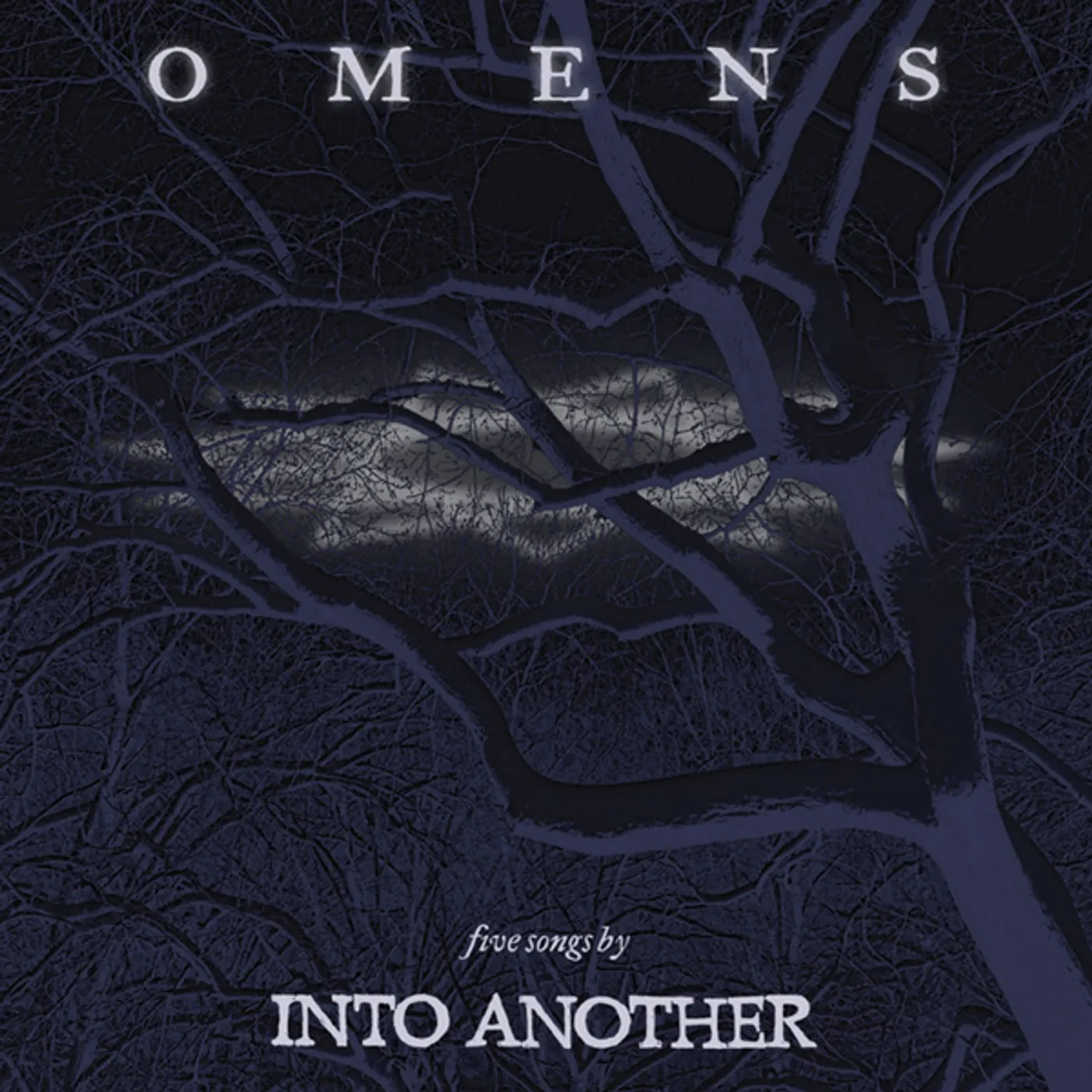 Into Another OMENS CD