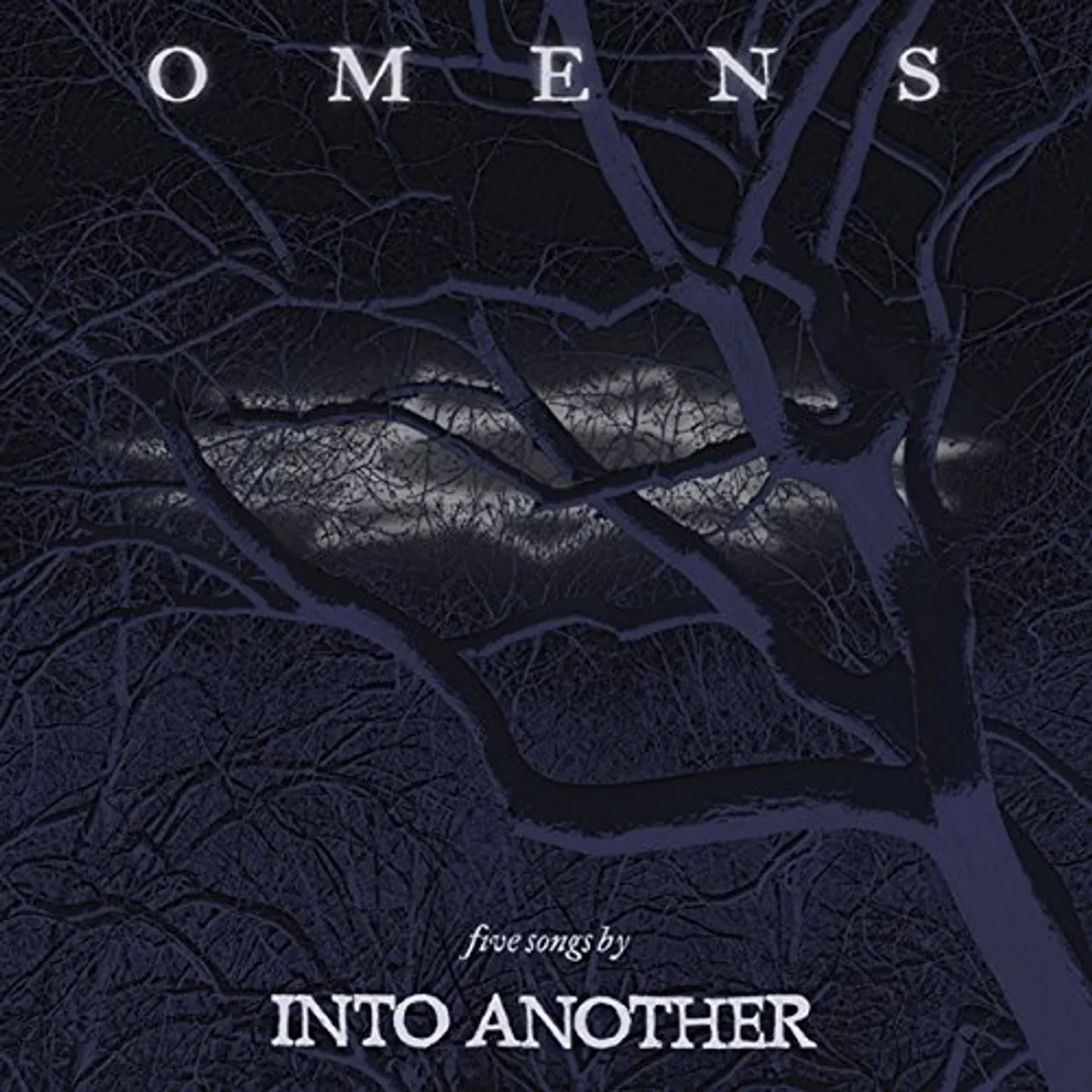 Into Another Omens Vinyl Record