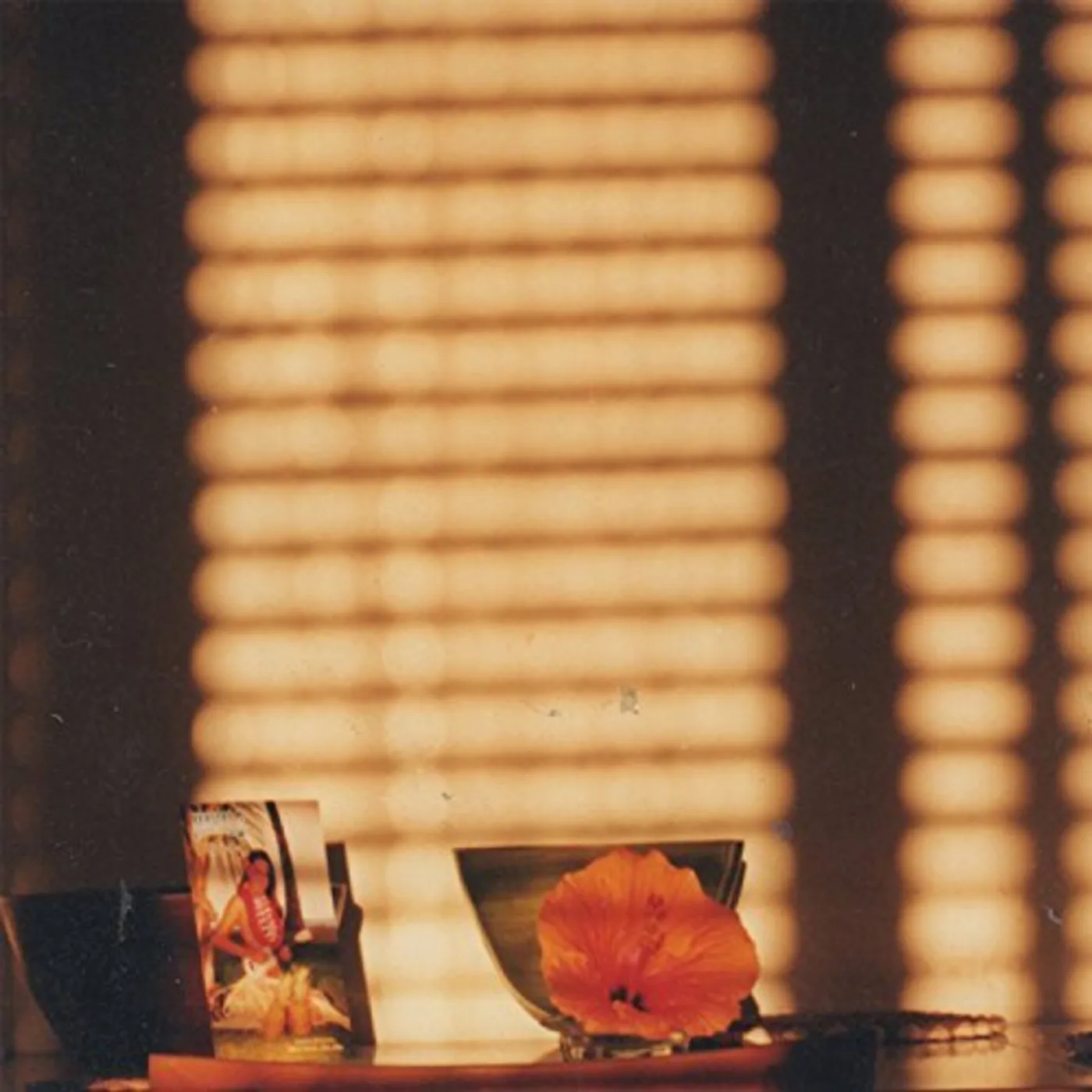 Mike Cooper Light On A Wall Vinyl Record