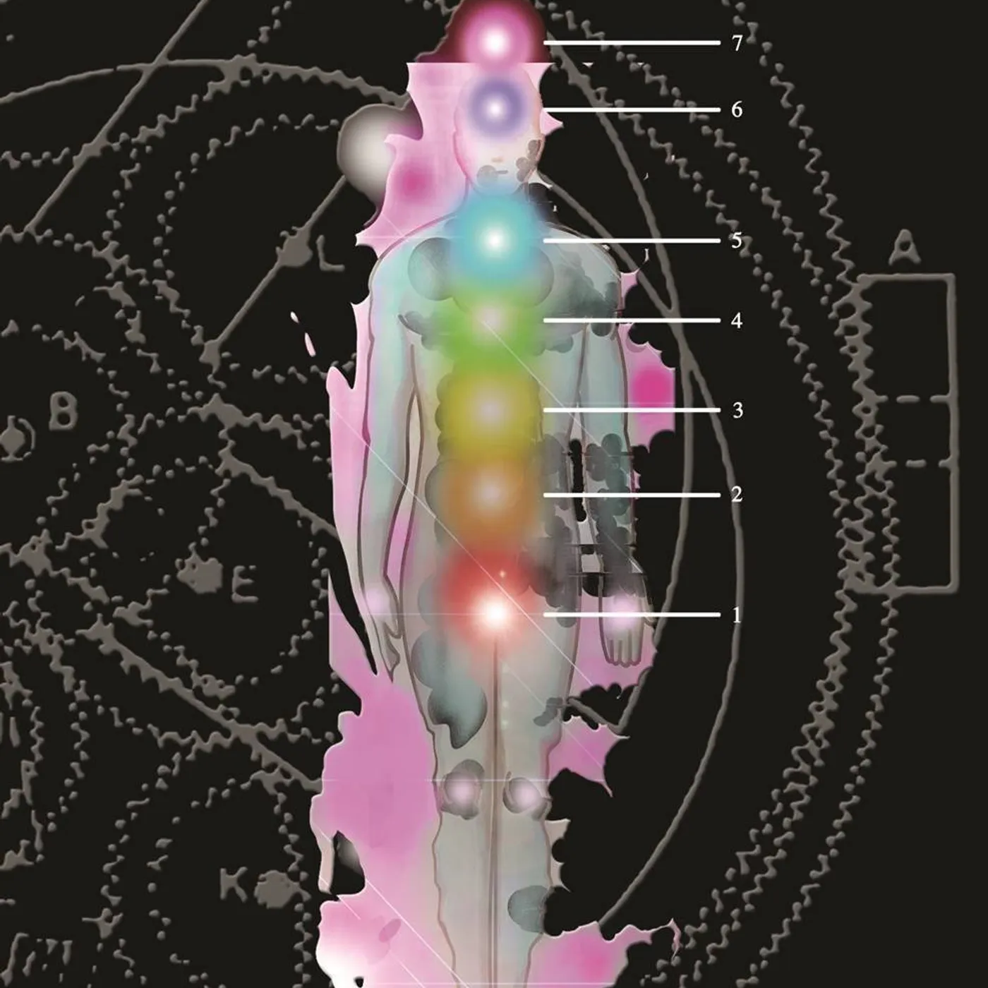 Hawklords REALITY TOUR 2013 DVD