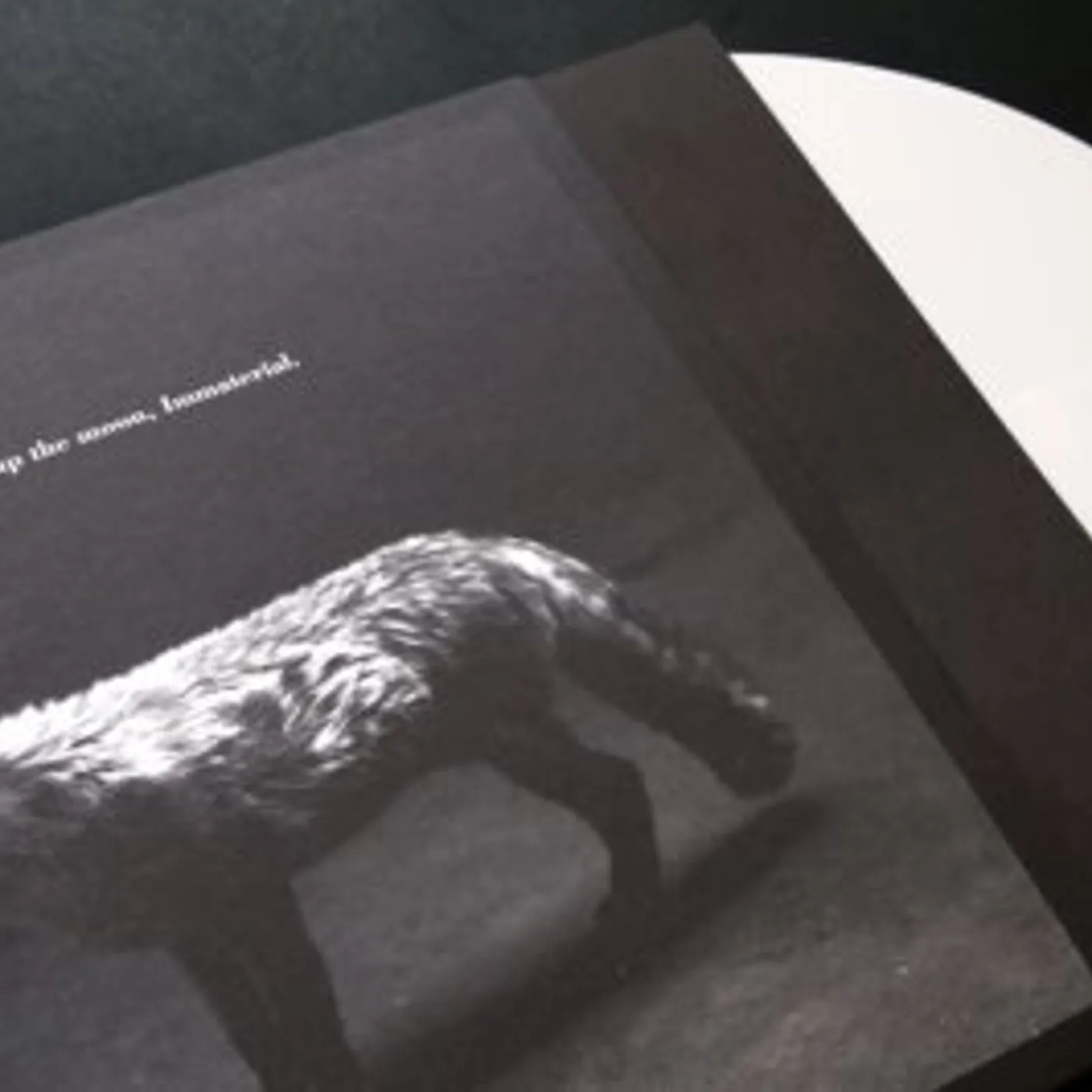 Hanging up the Moon IMMATERIAL CD