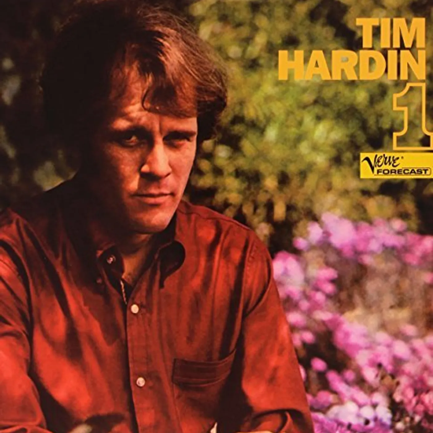 Tim Hardin 1 Vinyl Record