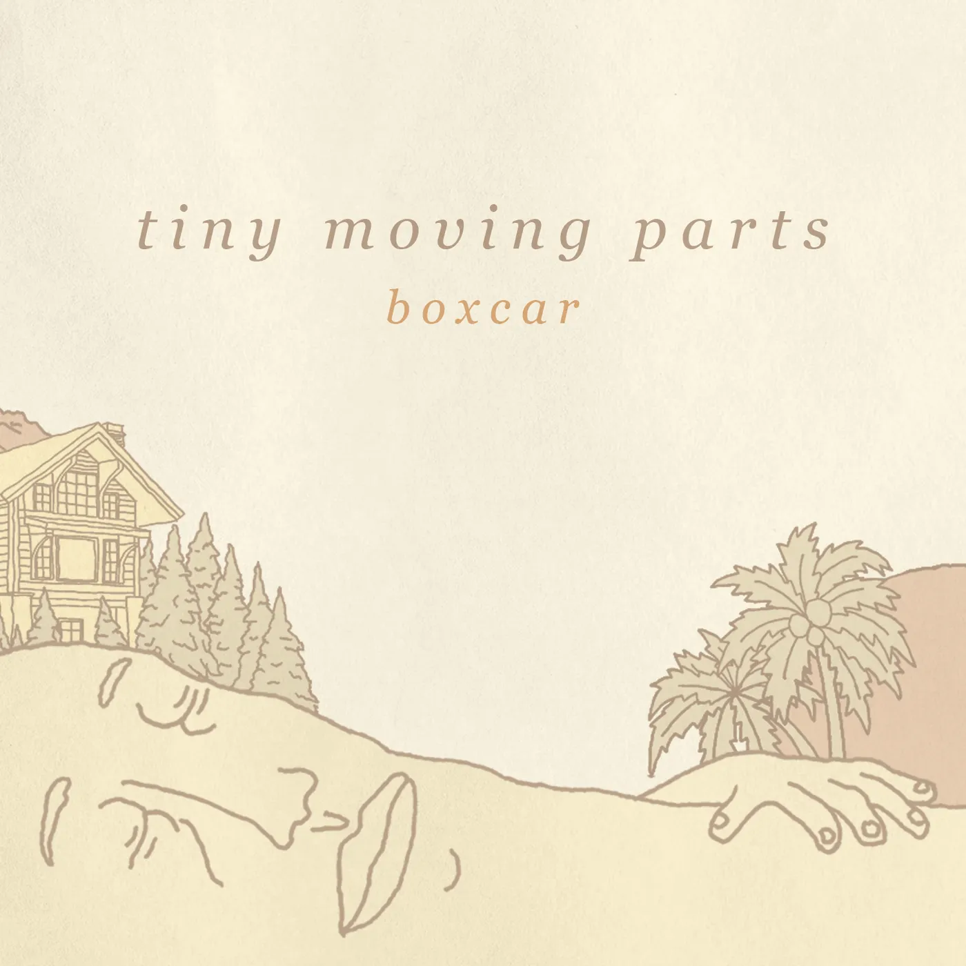 Tiny Moving Parts Pleasant Living Vinyl Record