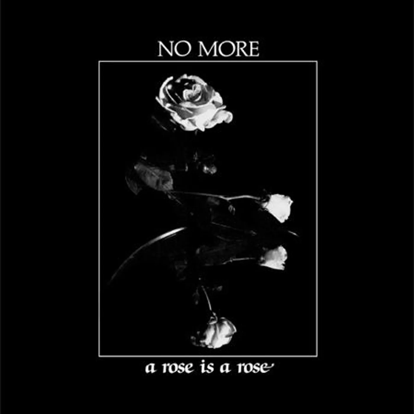 No More A Rose Is A Rose Vinyl Record