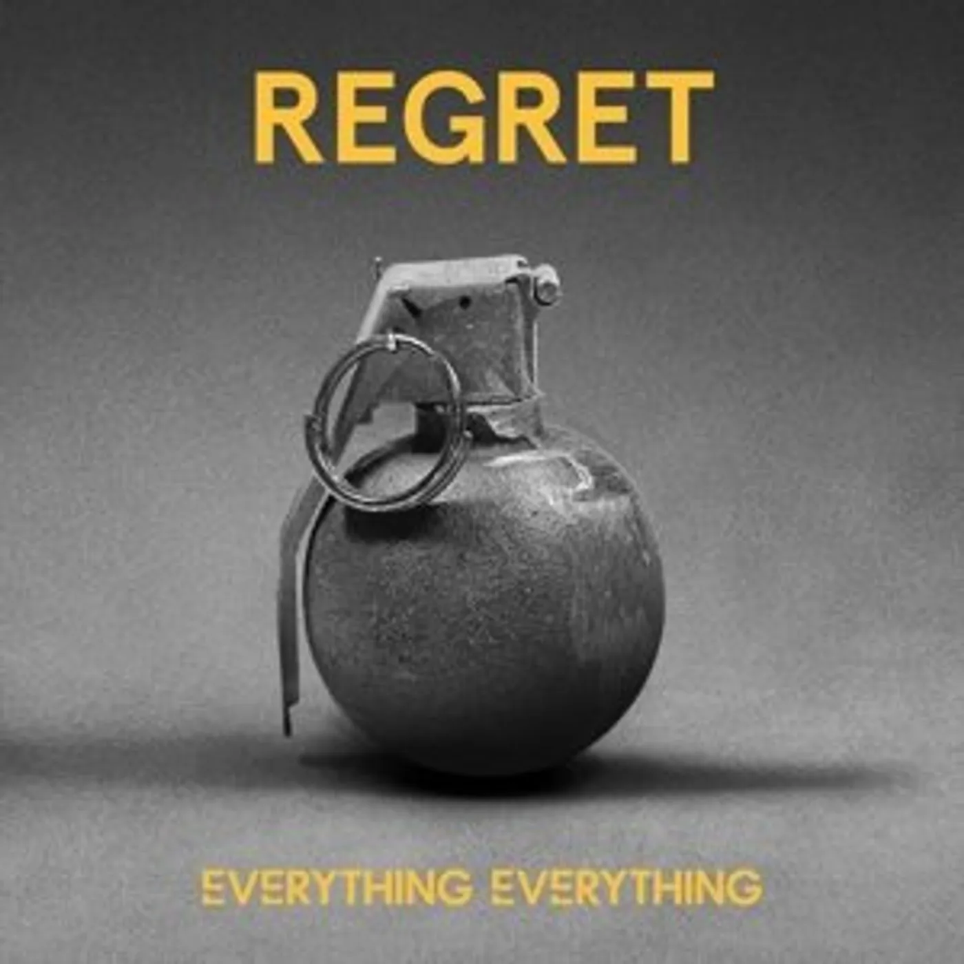 Everything Everything Regret Vinyl Record