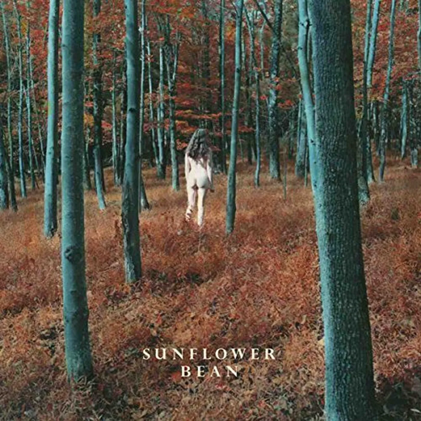 Sunflower Bean I HEAR VOICES / STALKER Vinyl Record - UK Release