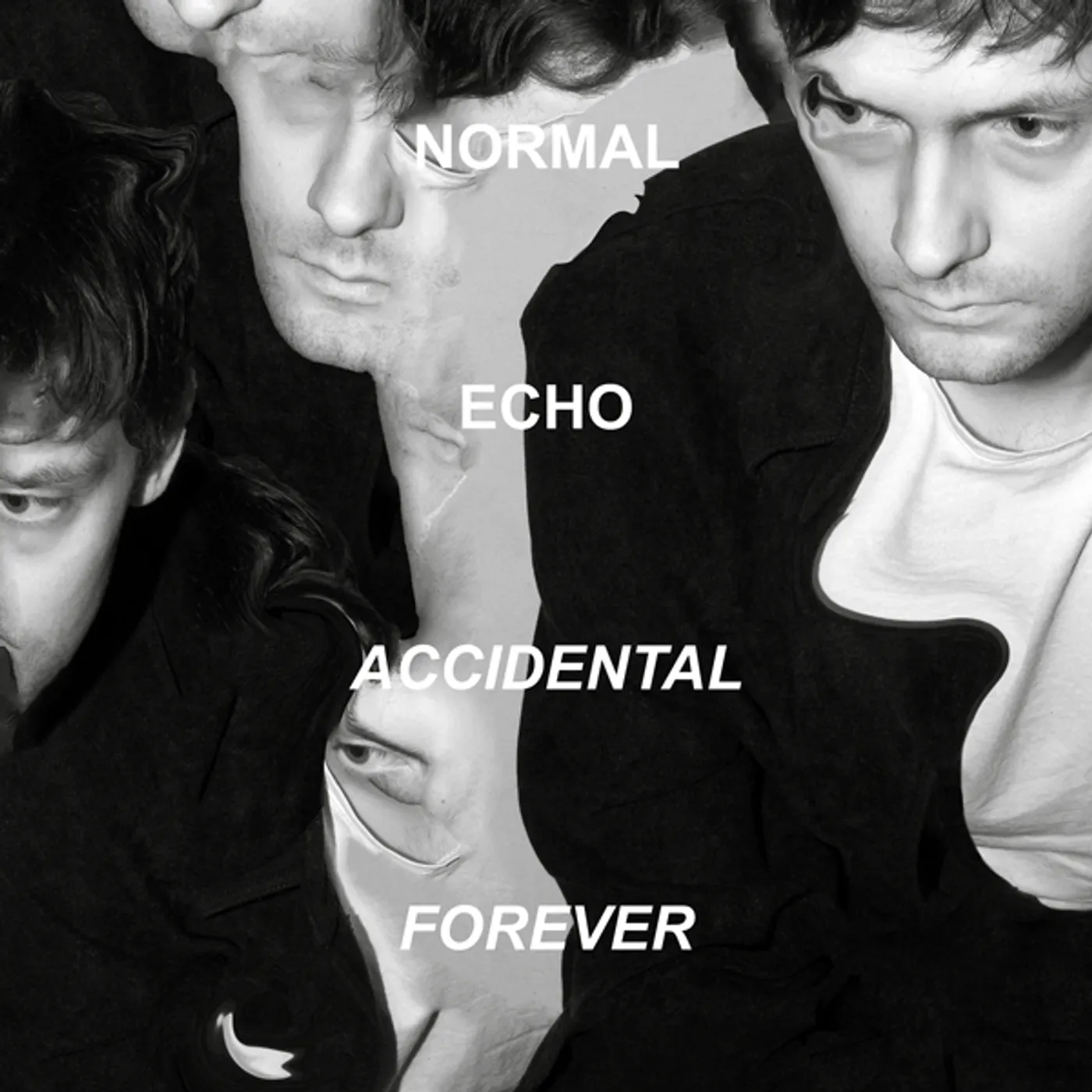 Normal Echo Accidental Forever Vinyl Record