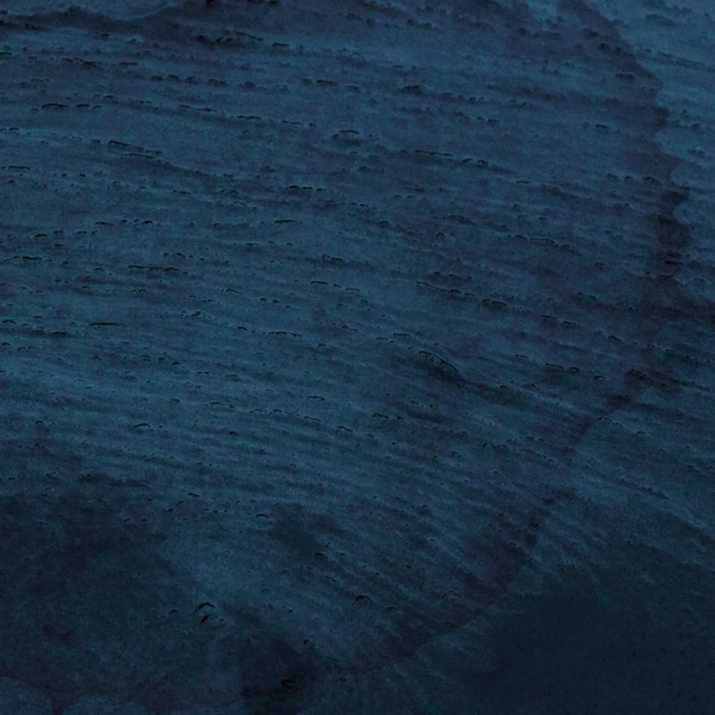 Multicast Dynamics Aquatic System Vinyl Record