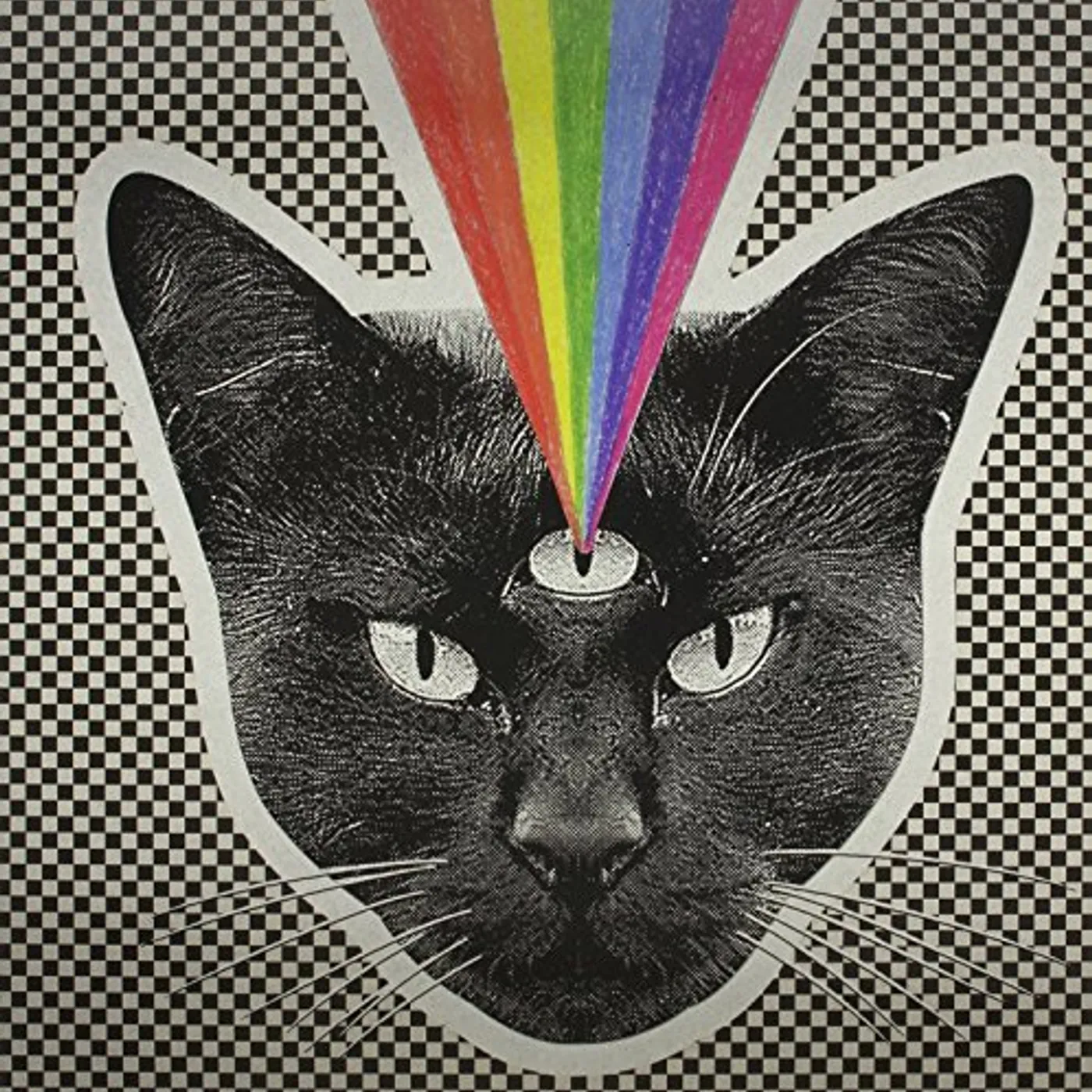 Never Shout Never Black Cat Vinyl Record