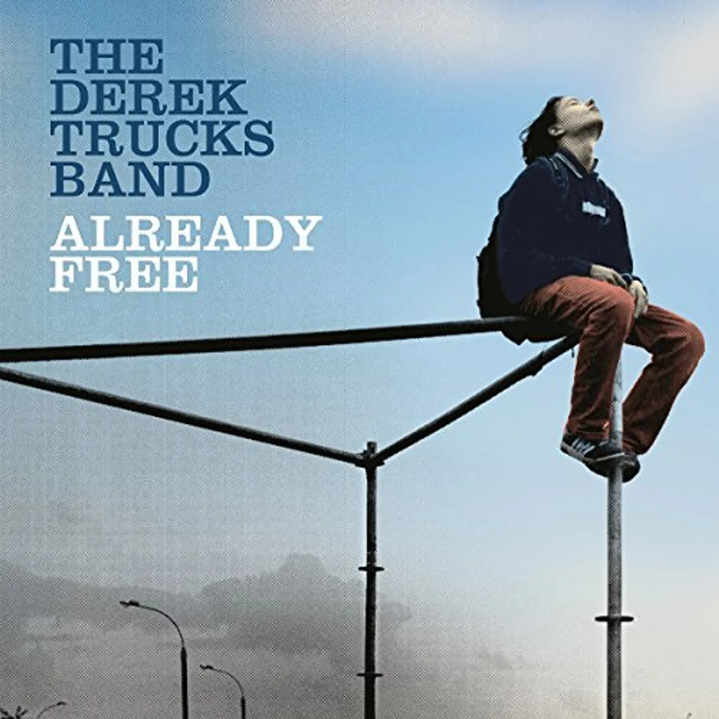 The Derek Trucks Band ALREADY FREE (180G) Vinyl Record