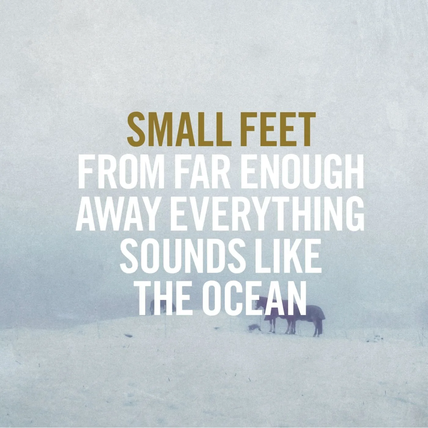 Small Feet FROM FAR ENOUGH AWAY EVERYTHING SOUNDS LIKE CD
